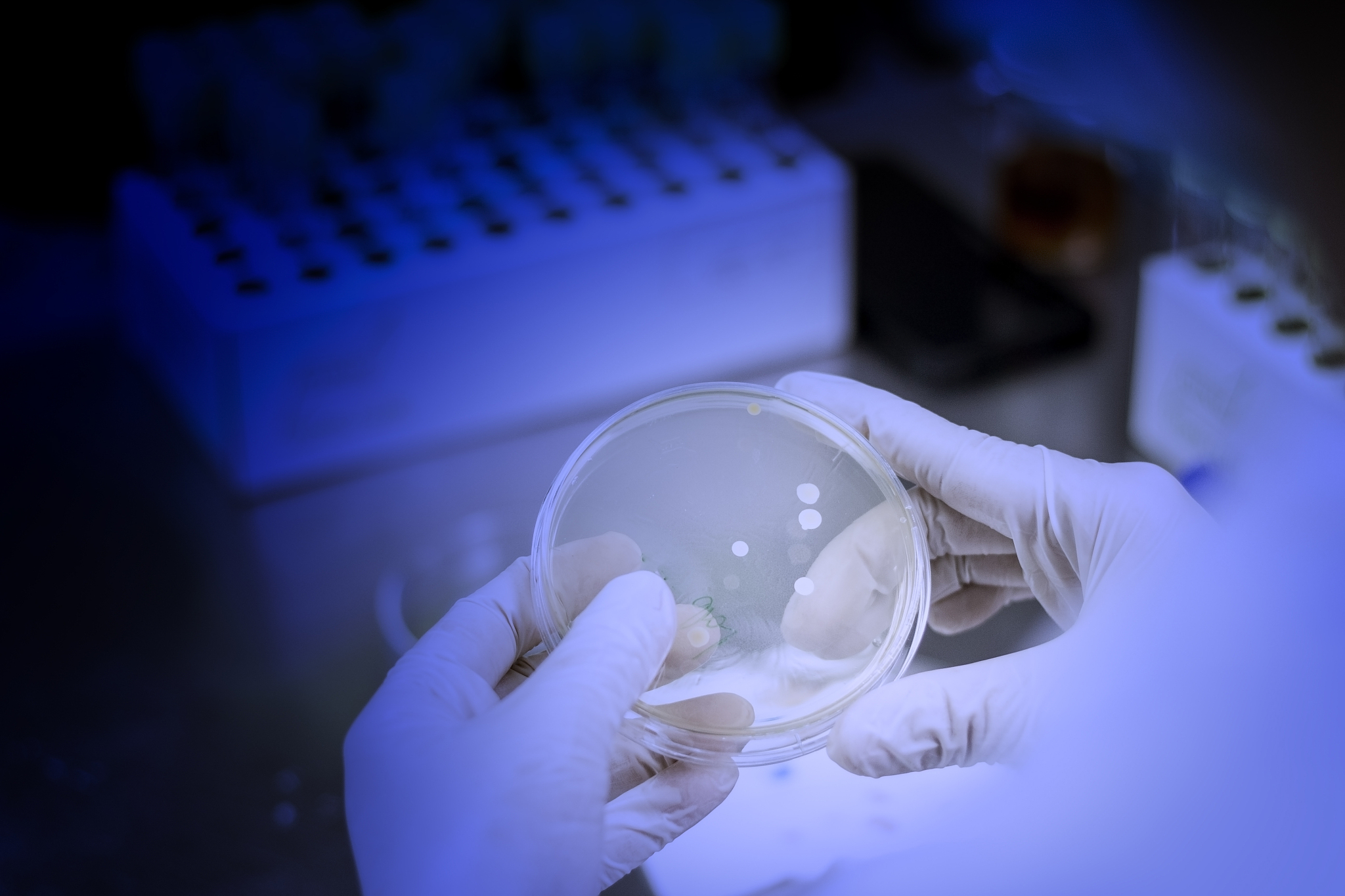 北京林业大学生物科学类专业怎么样