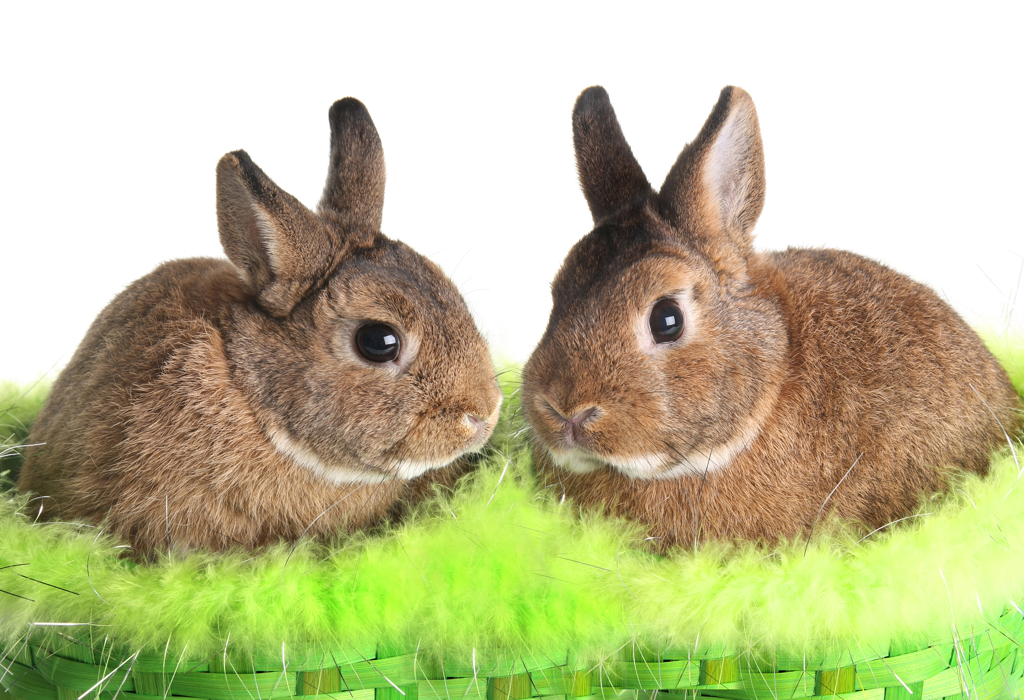 MATLAB 函数式 M 文件：计算斐波那契数列第 n 项