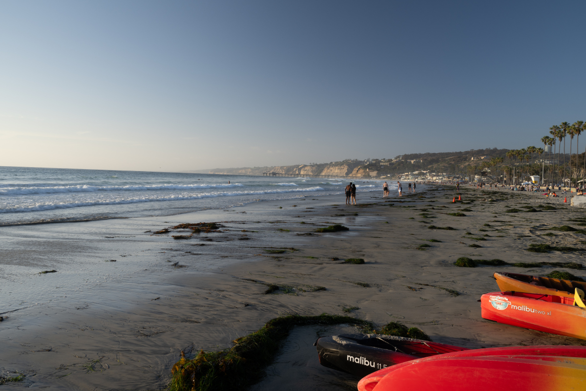 坦帕有什么海滩