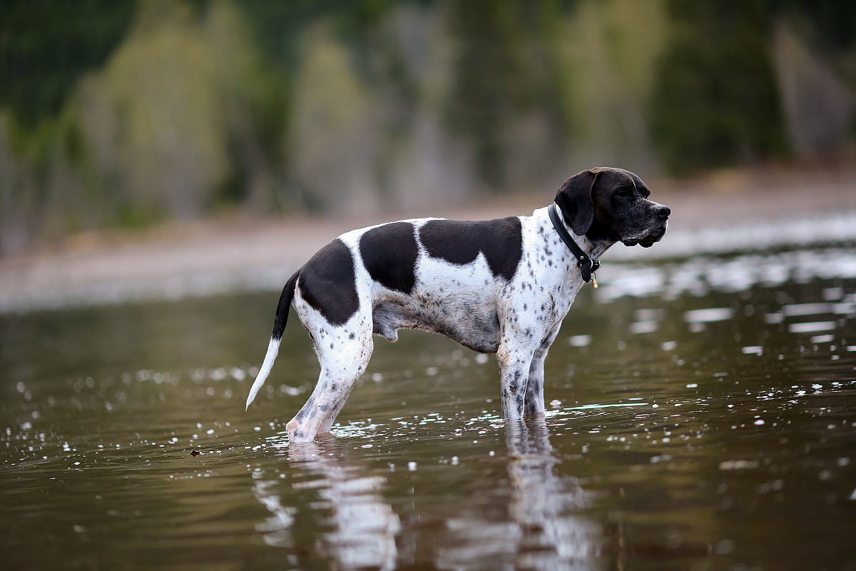 包头职业技术学院应用英语专业简介