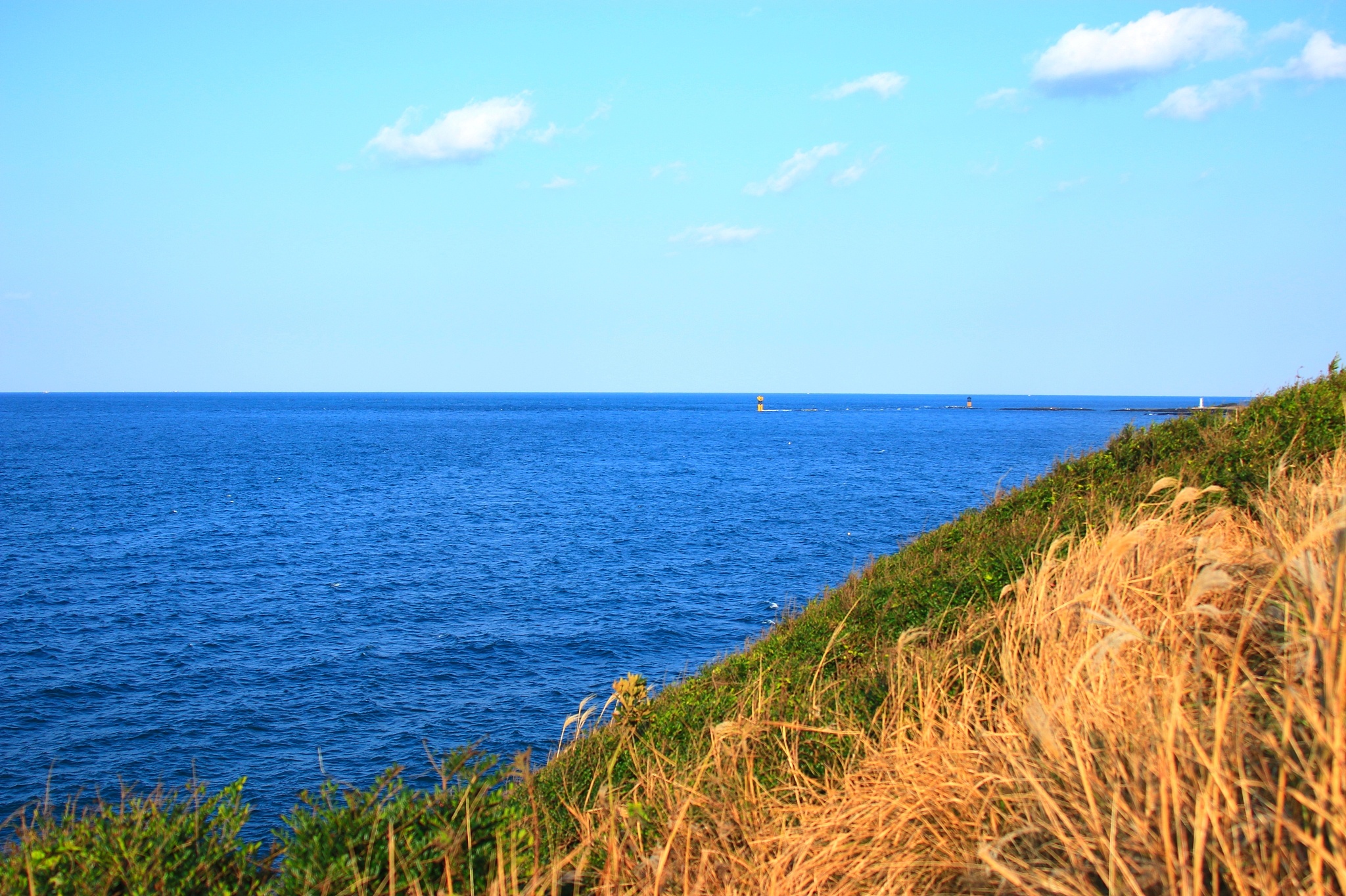 seobong beach, coast, sea, horse, white sand, beach,