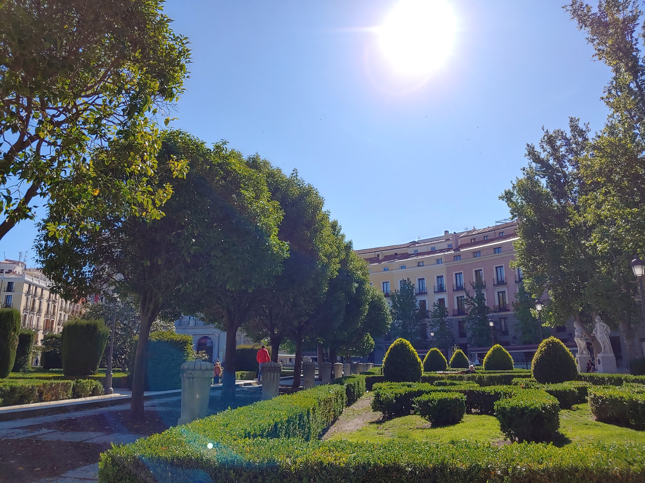 garden