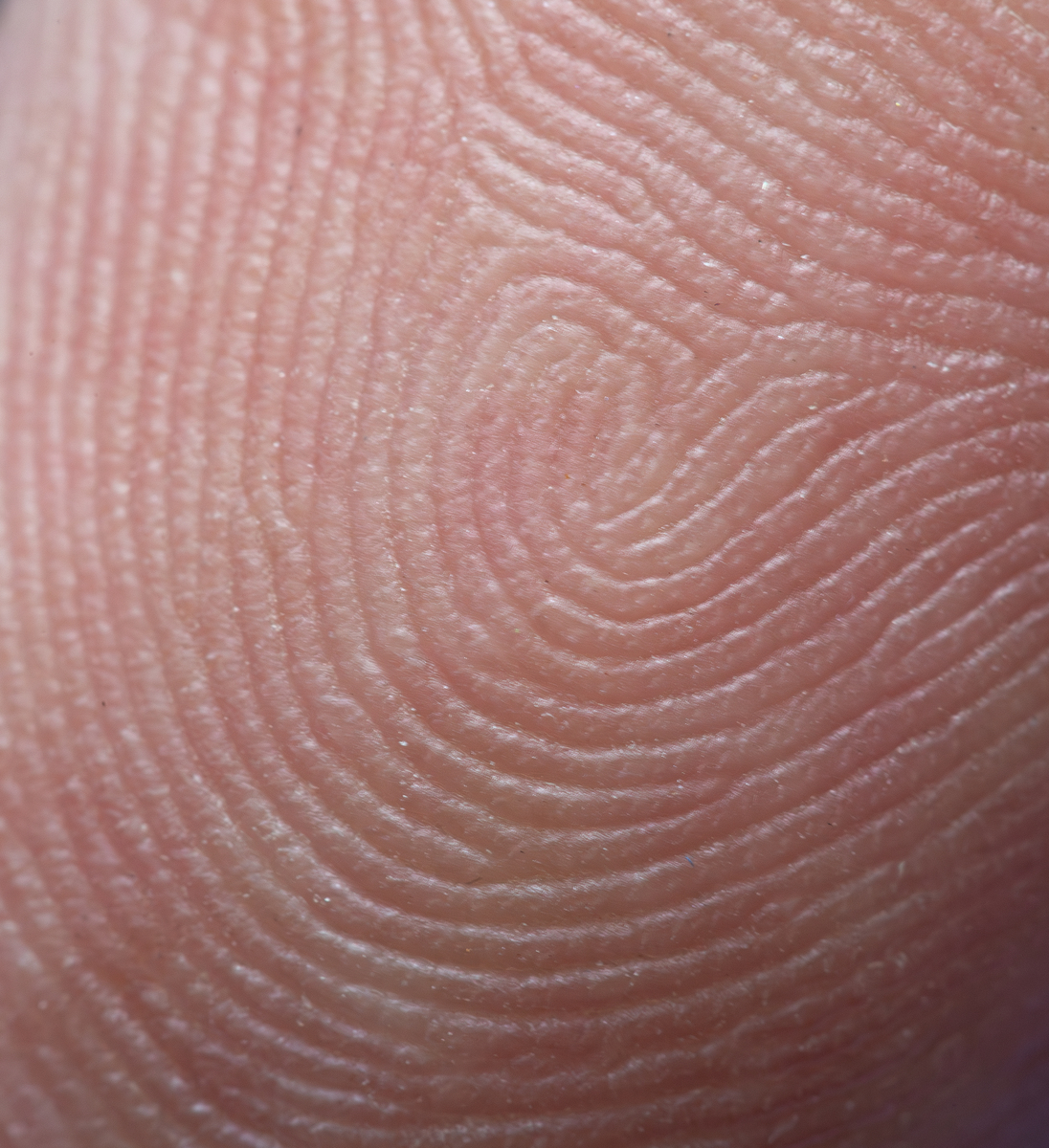 生态环境按人类影响程度分类