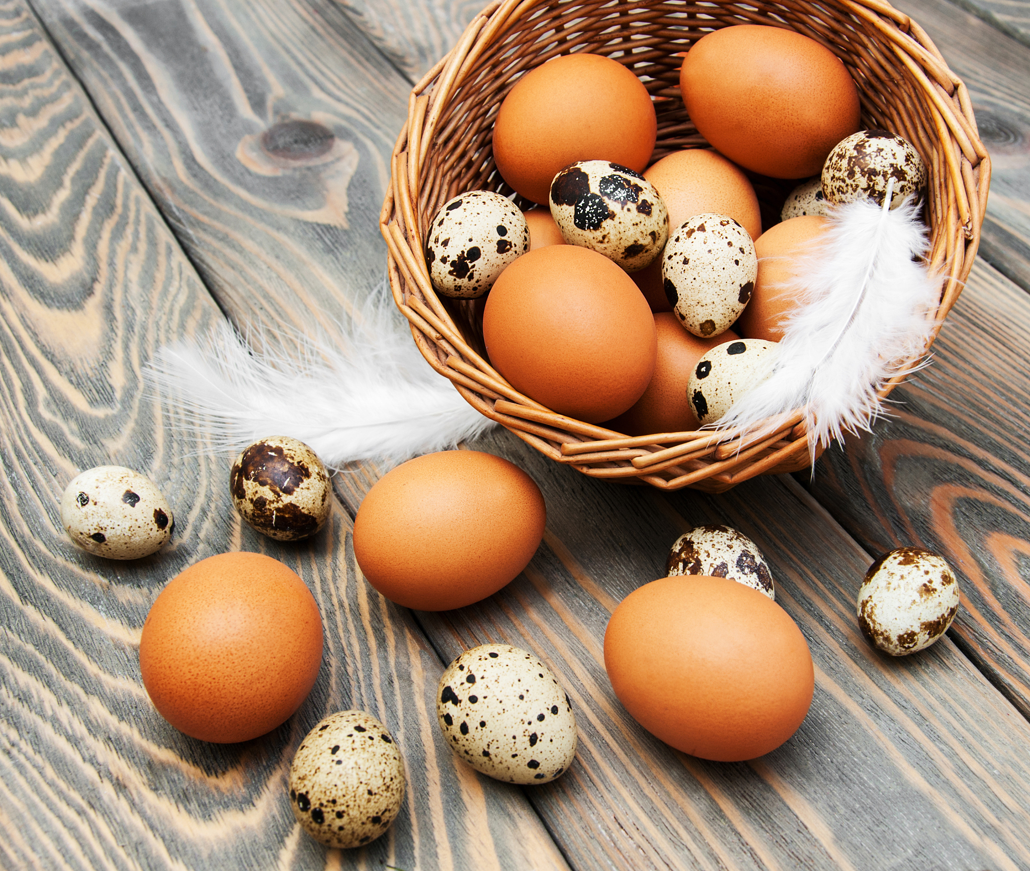 different types of eggs in a basket