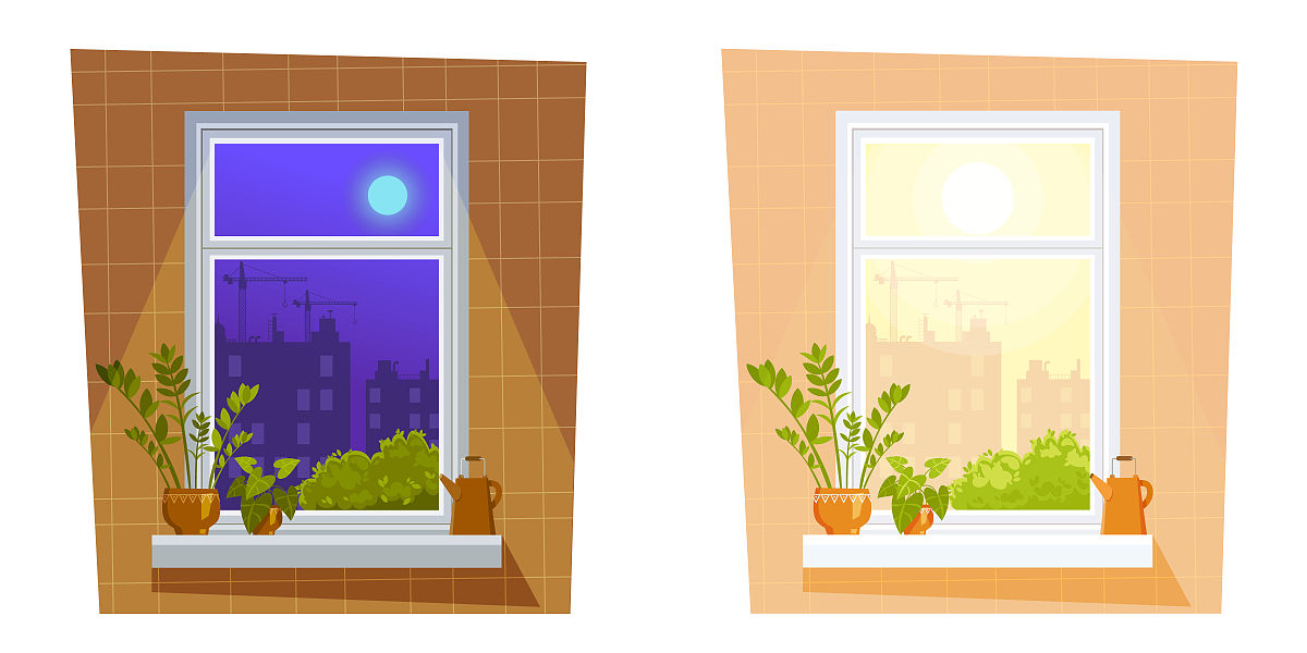 矛盾特殊性之谜：一场探索之旅