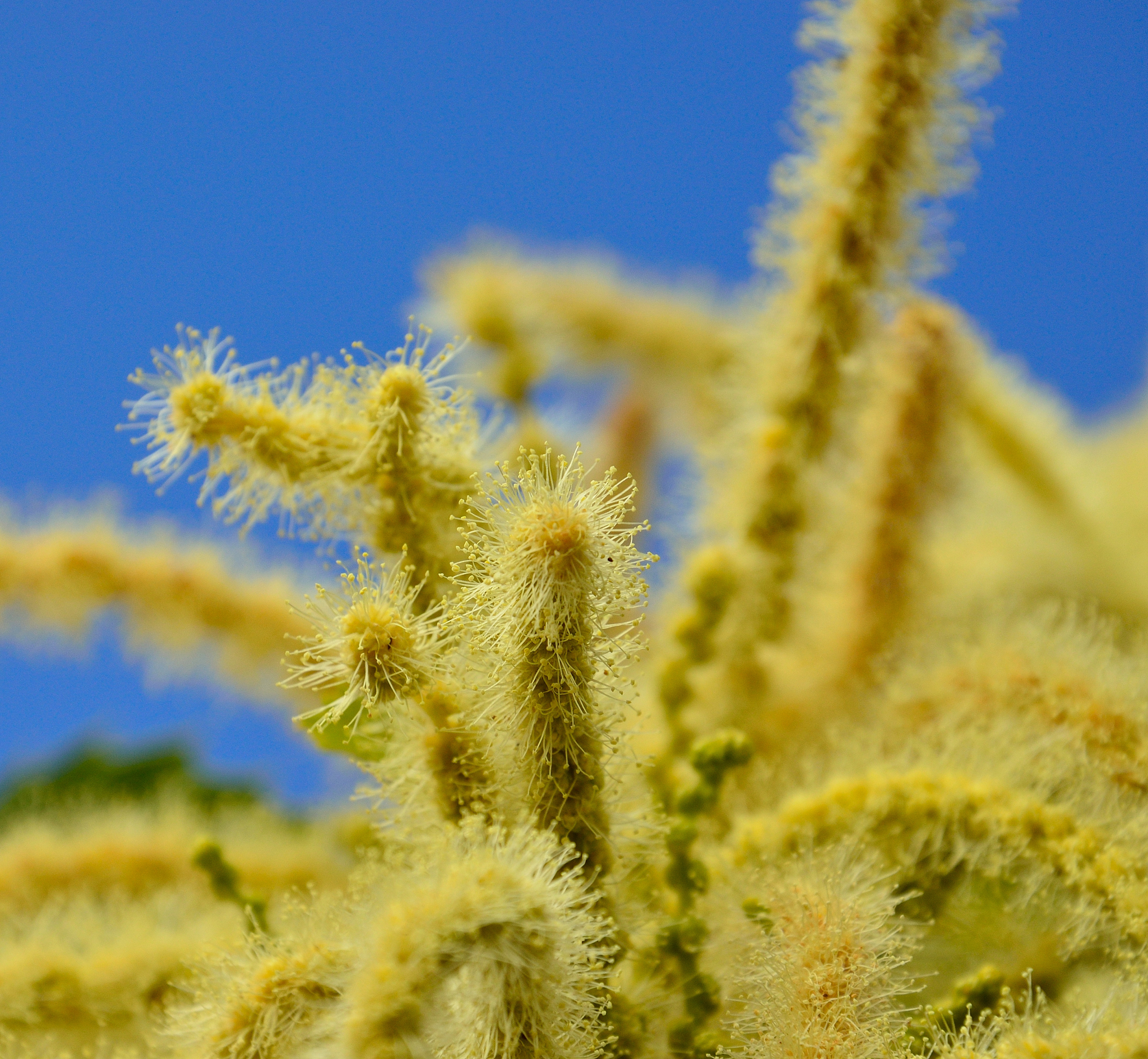 国家野生种质资源（南宁）展览参观心得：生物多样性保护的意义