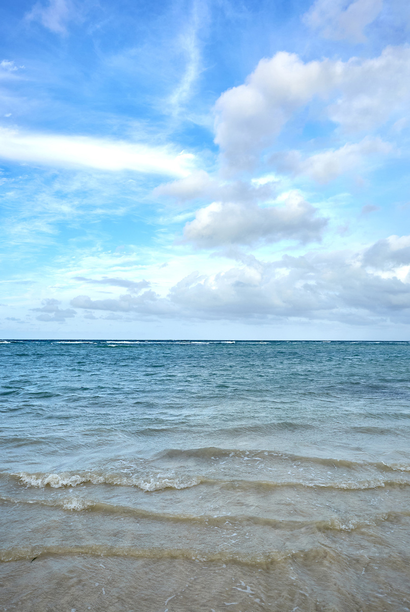 喜欢花草天空大海什么样的人