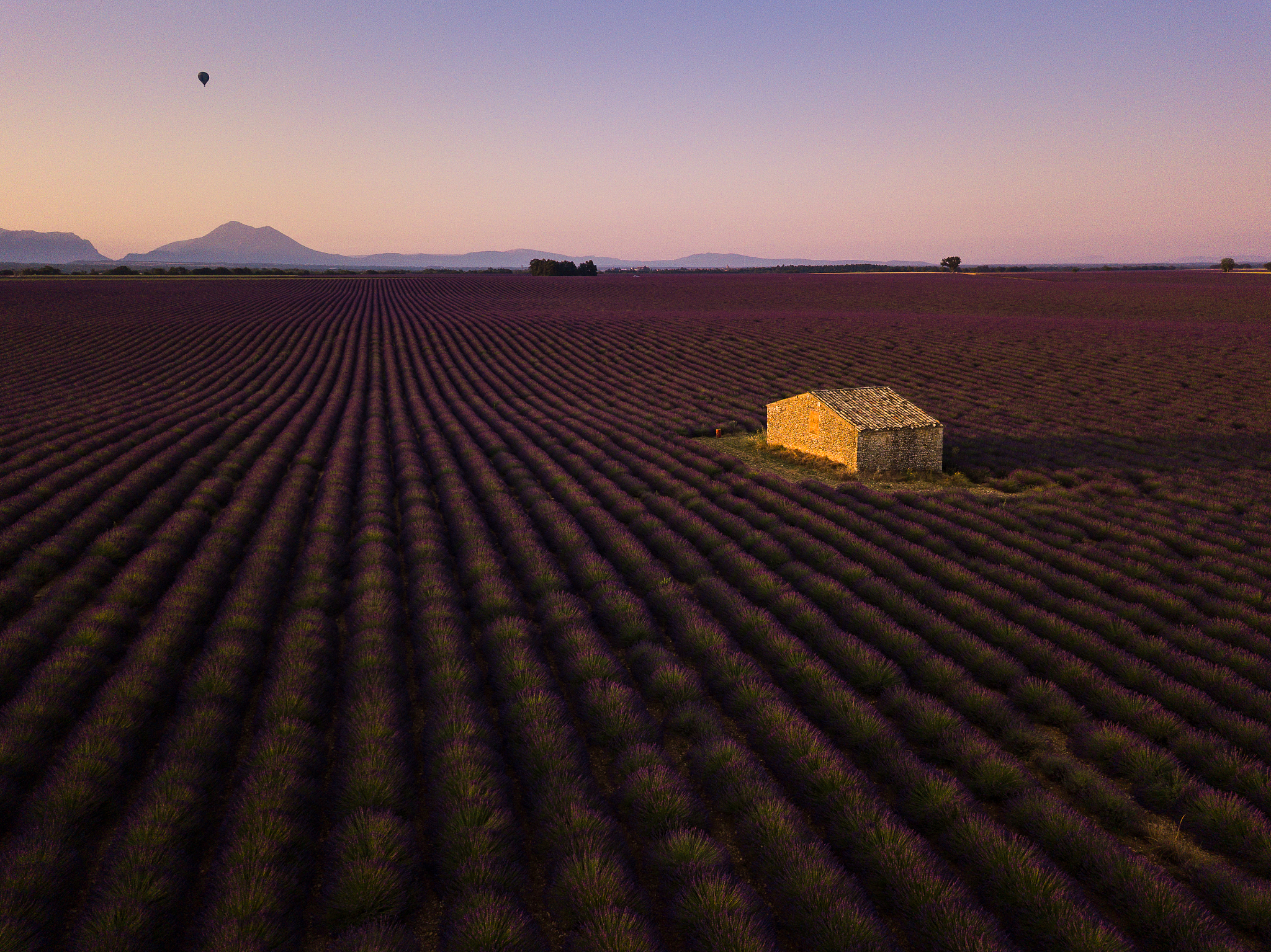 Take China maize as an example we find the limitations for farmers’ planting density is vary regions根据nature communications的语言习惯润色上面的英文句子