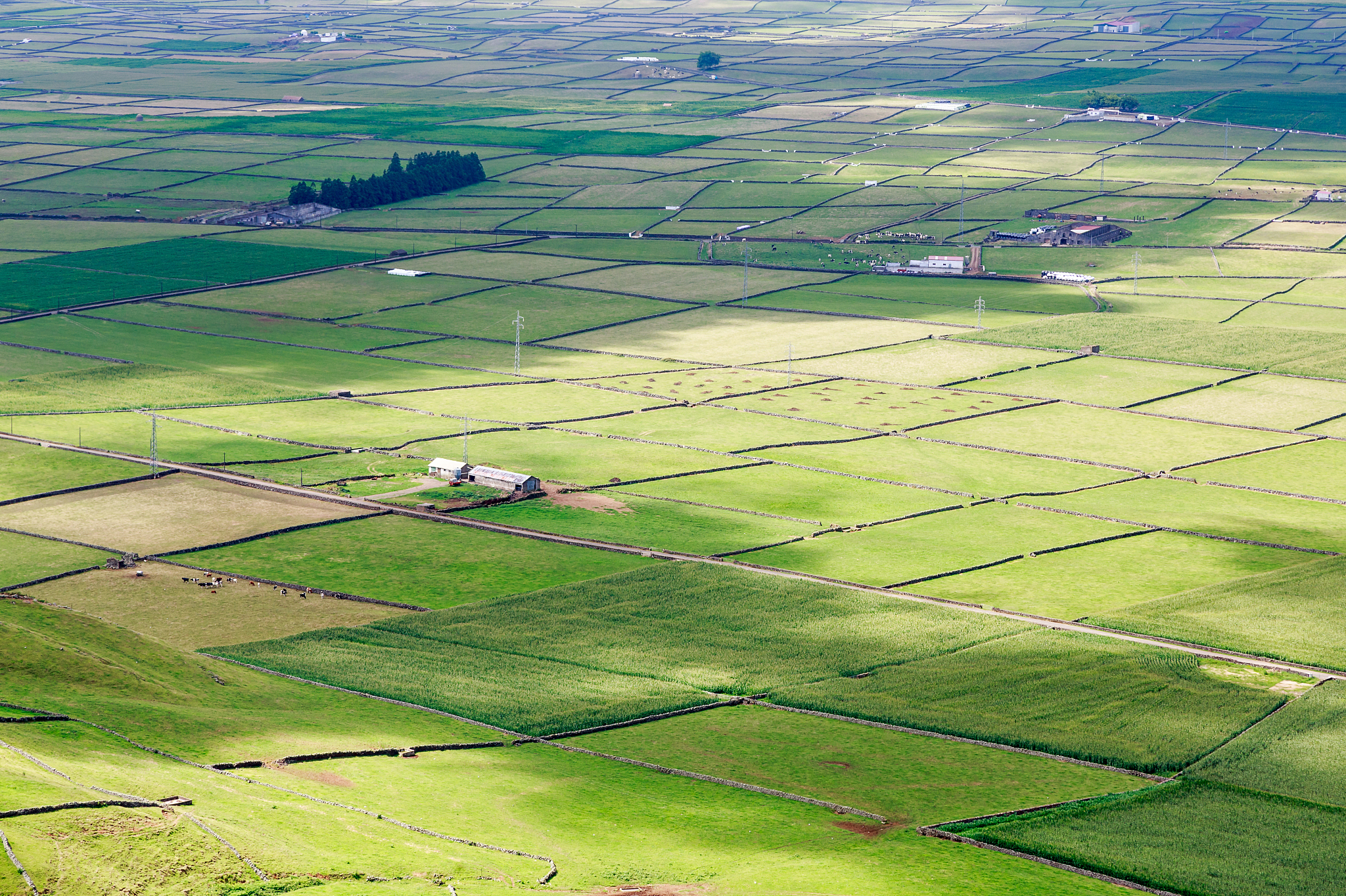 high angle view of agricultural field