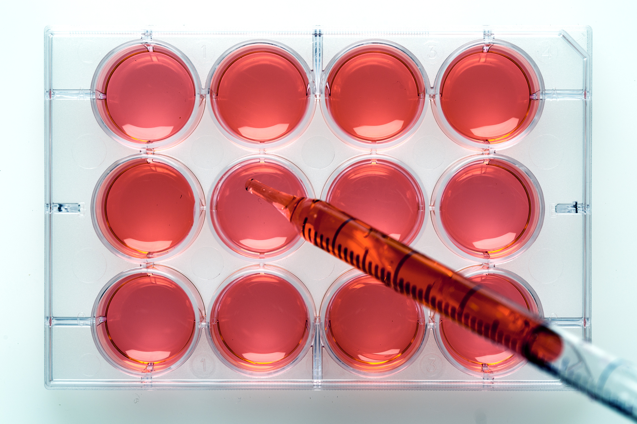 检测原理介绍：基于样本预处理方法分类