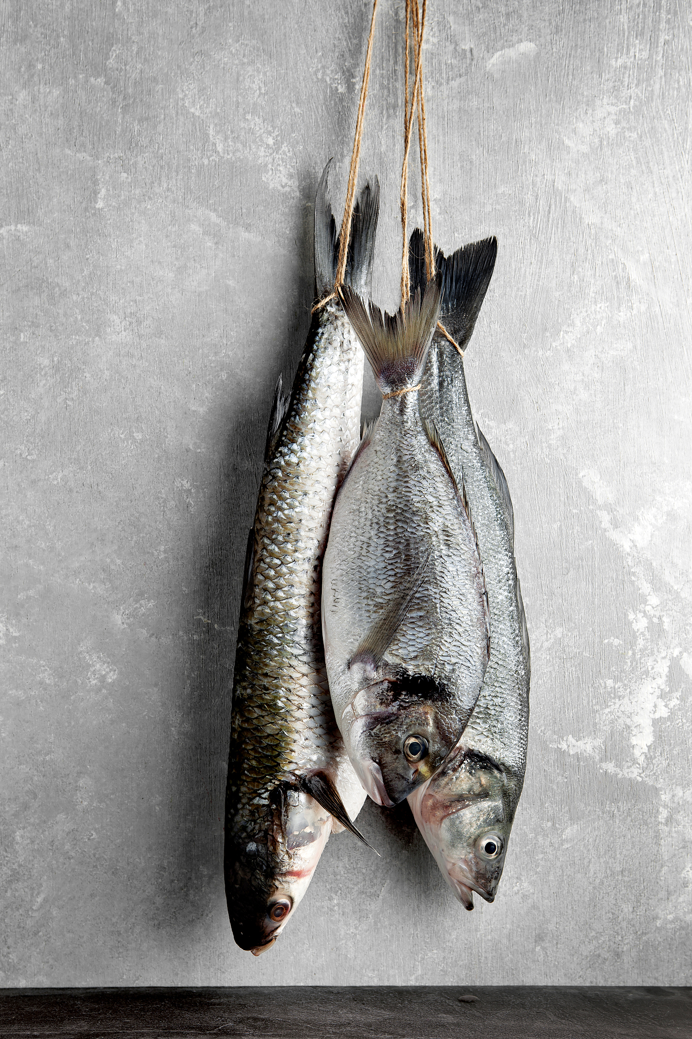 鱼钩 叉尾鮰 海鲈鱼 和湄公鱼哪个刺少哪个好吃