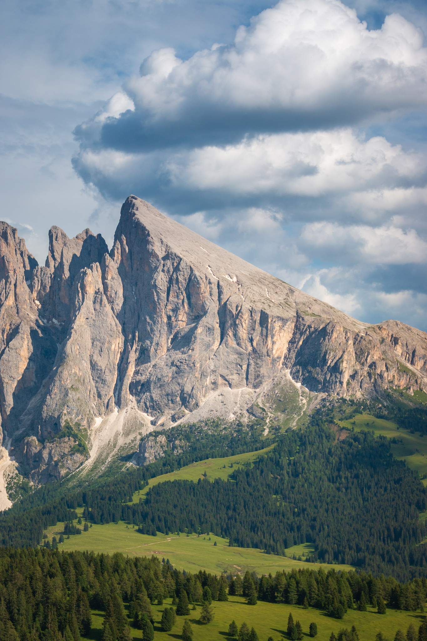 sasso piatto – plattkofel mountain peak in summer