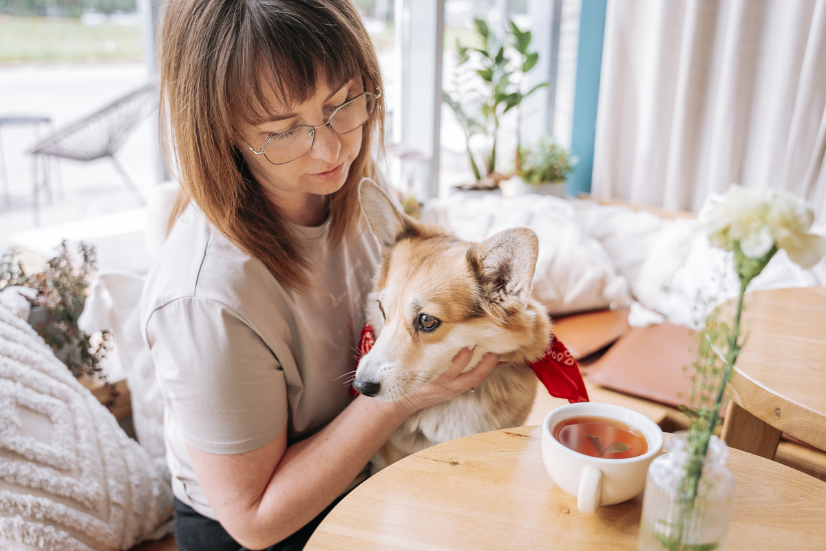 以明明狗可以给人的正反馈更多为什么却是养猫的人越来越多？为题重新编写标题写一篇1100字文章