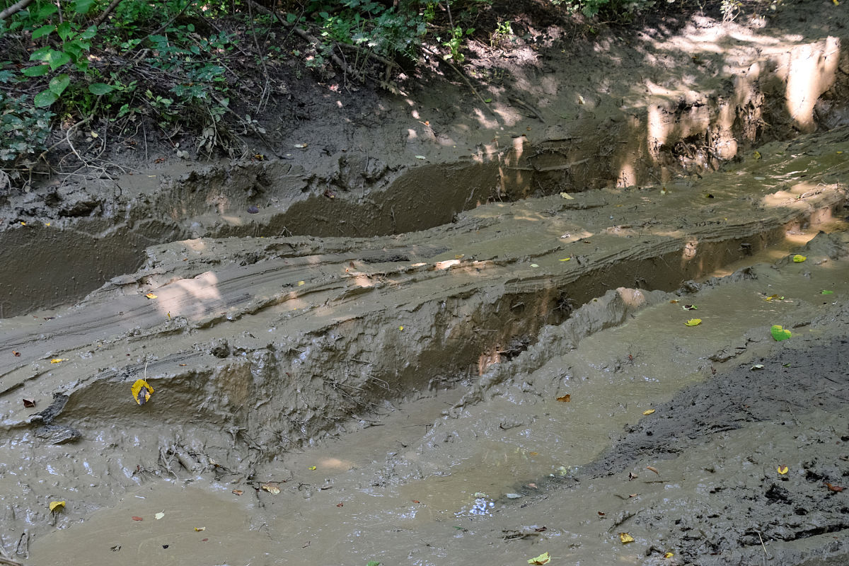 请帮忙改写下这句话：因此缺乏规模较小且重复燃烧的普通苔原火灾观测数据极大地限制了我们对苔原生态系统有机土壤中野火长期影响的科学认识。