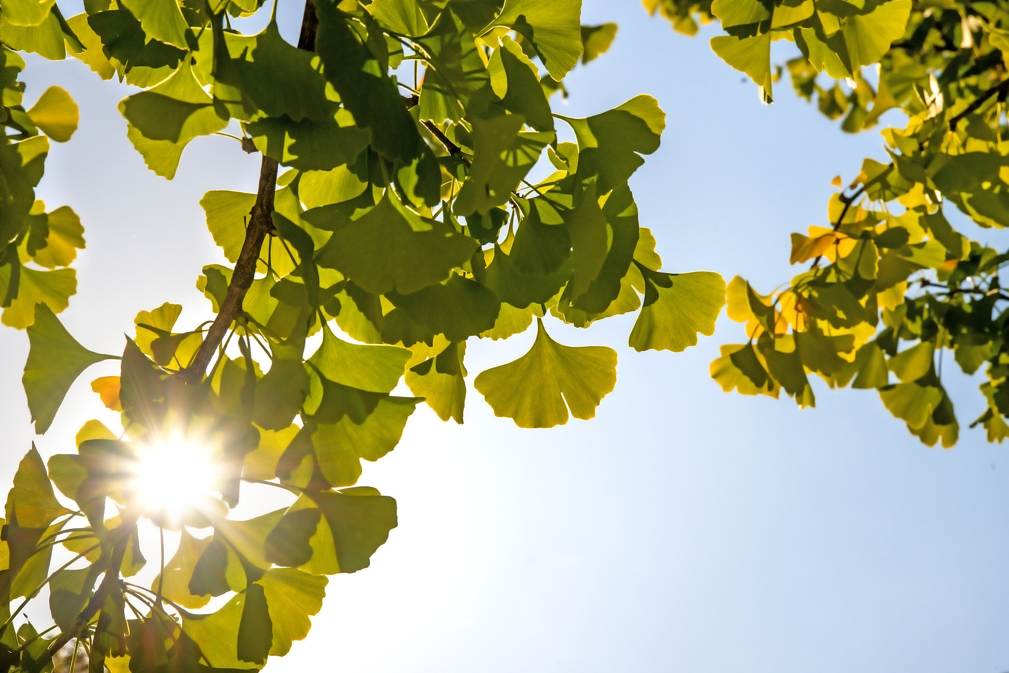 贵州省学中医药专业选择哪个学校