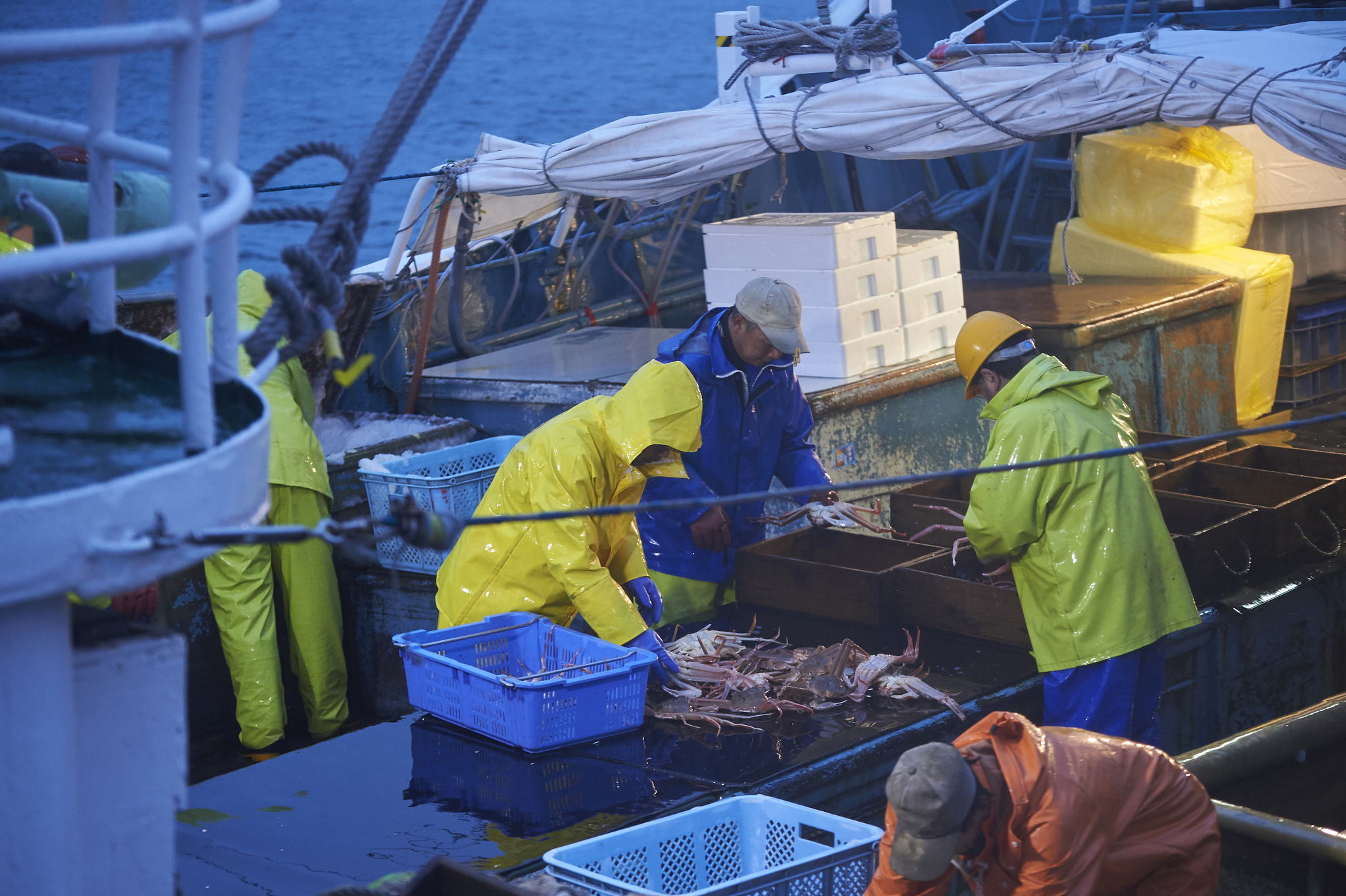 海洋捕捞技术专科课程有哪些？