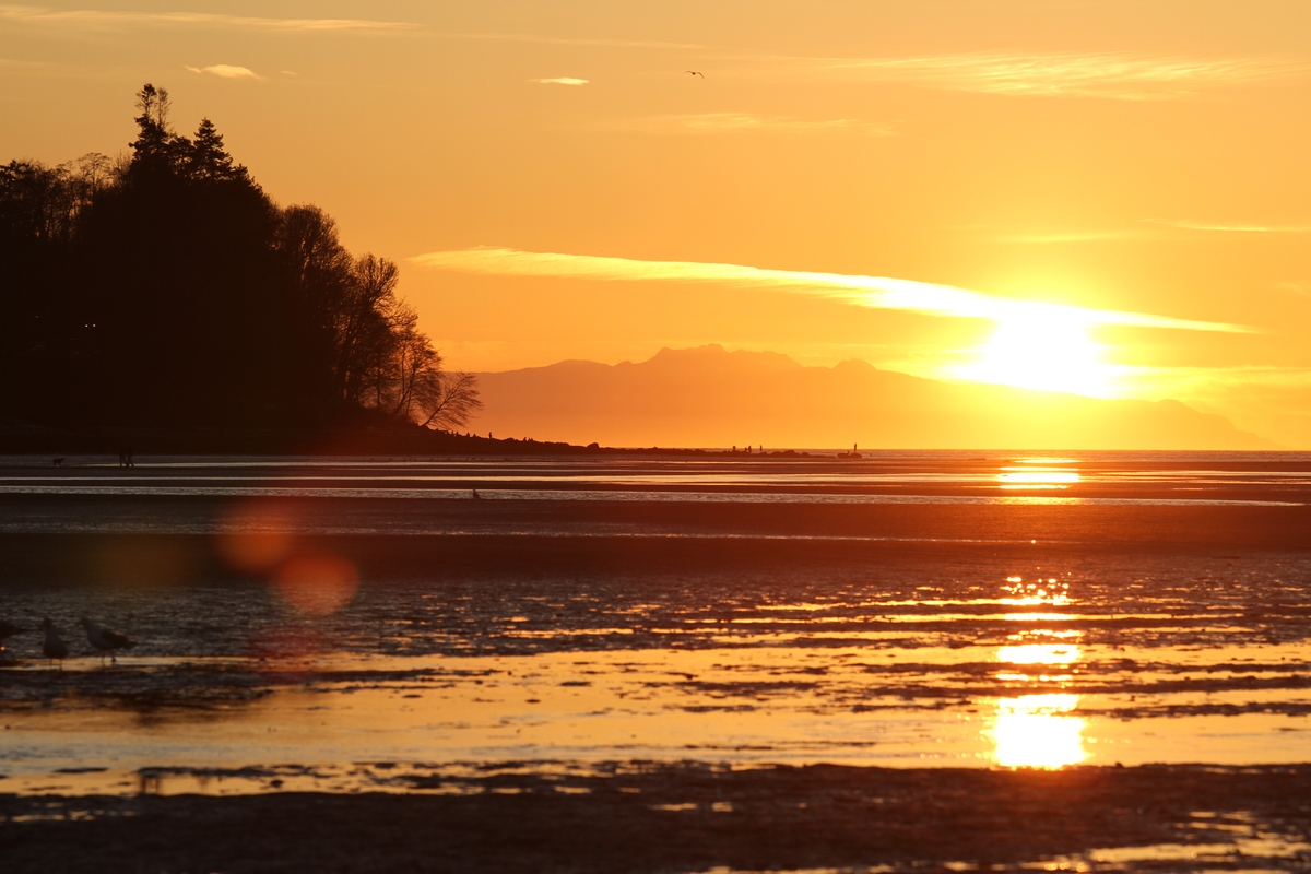 夕阳之美：从红色到深蓝，感受生命的色彩