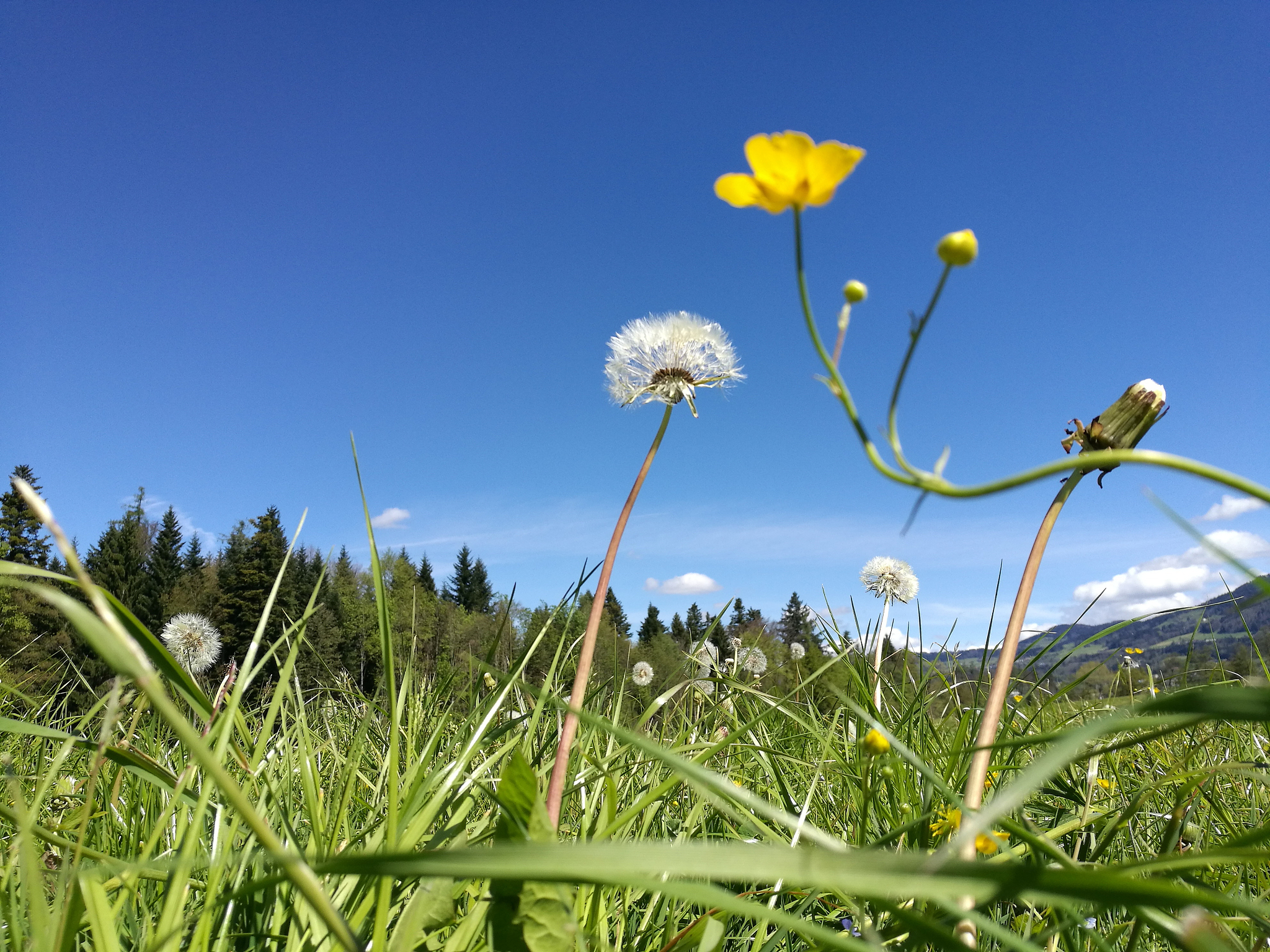 这一首春雪落满天地白如练轻轻飘扬在空中纷纷扬扬落人间洁白无瑕如童颜春雪如诗如画境静静落在枝头上点点飞舞如梦境飘飘荡荡如心情春雪轻柔如春风温暖如阳光照耀闪闪发光如星空美丽如花儿绽放春雪落满大地间银装素裹如仙境美丽如画如诗篇让人陶醉在其中继续欣赏这春雪的美丽感受着它带来的清新和生机。它让人心情愉悦仿佛所有的烦恼都被洗涤干净留下的只有纯净和美好。春雪是大自然的礼物让我们珍惜它也珍惜我们身边的一切。让我们