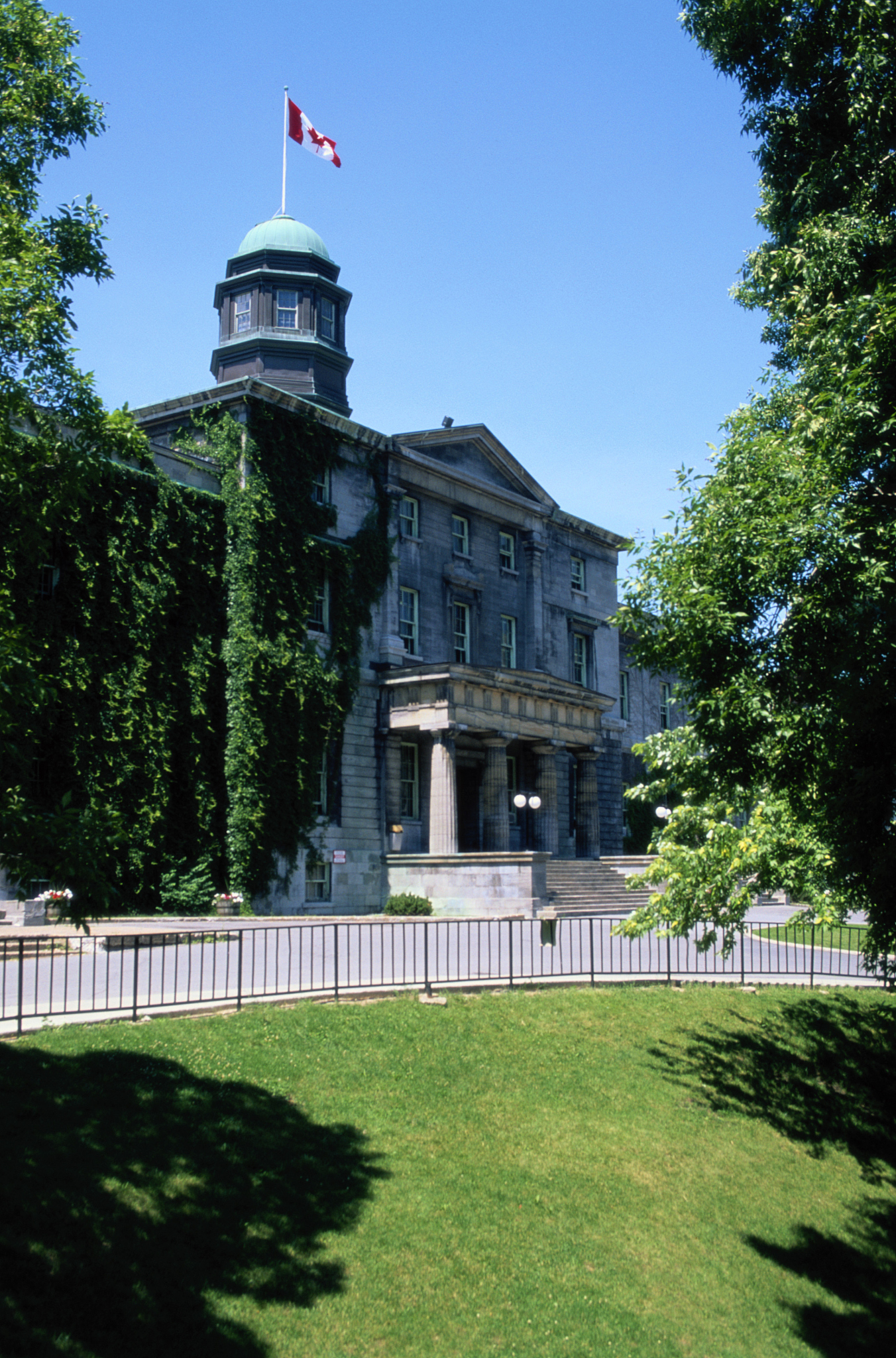 20世纪90年代加拿大McGill大学的Boon-TeckOooi