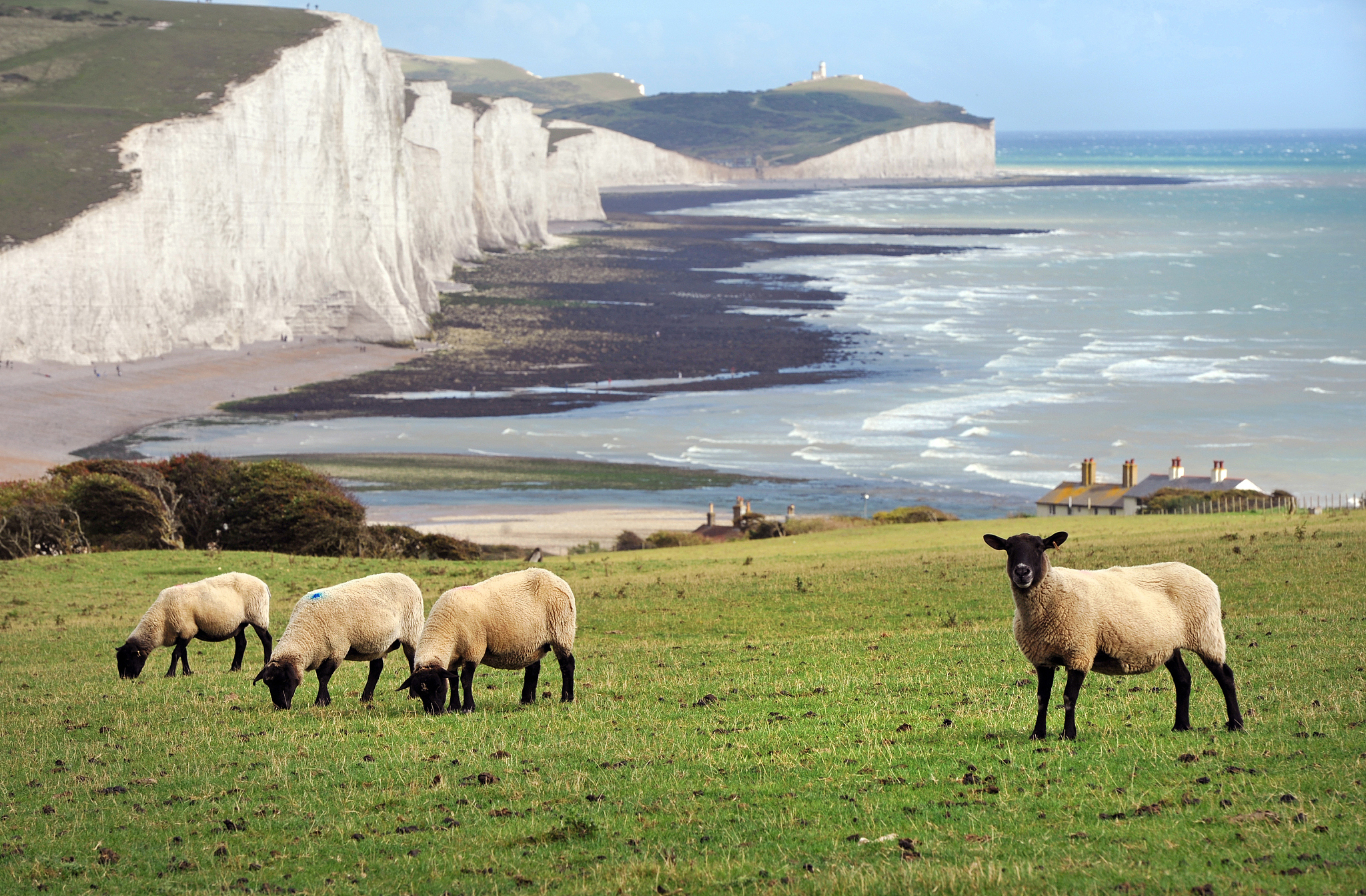 south downs coast