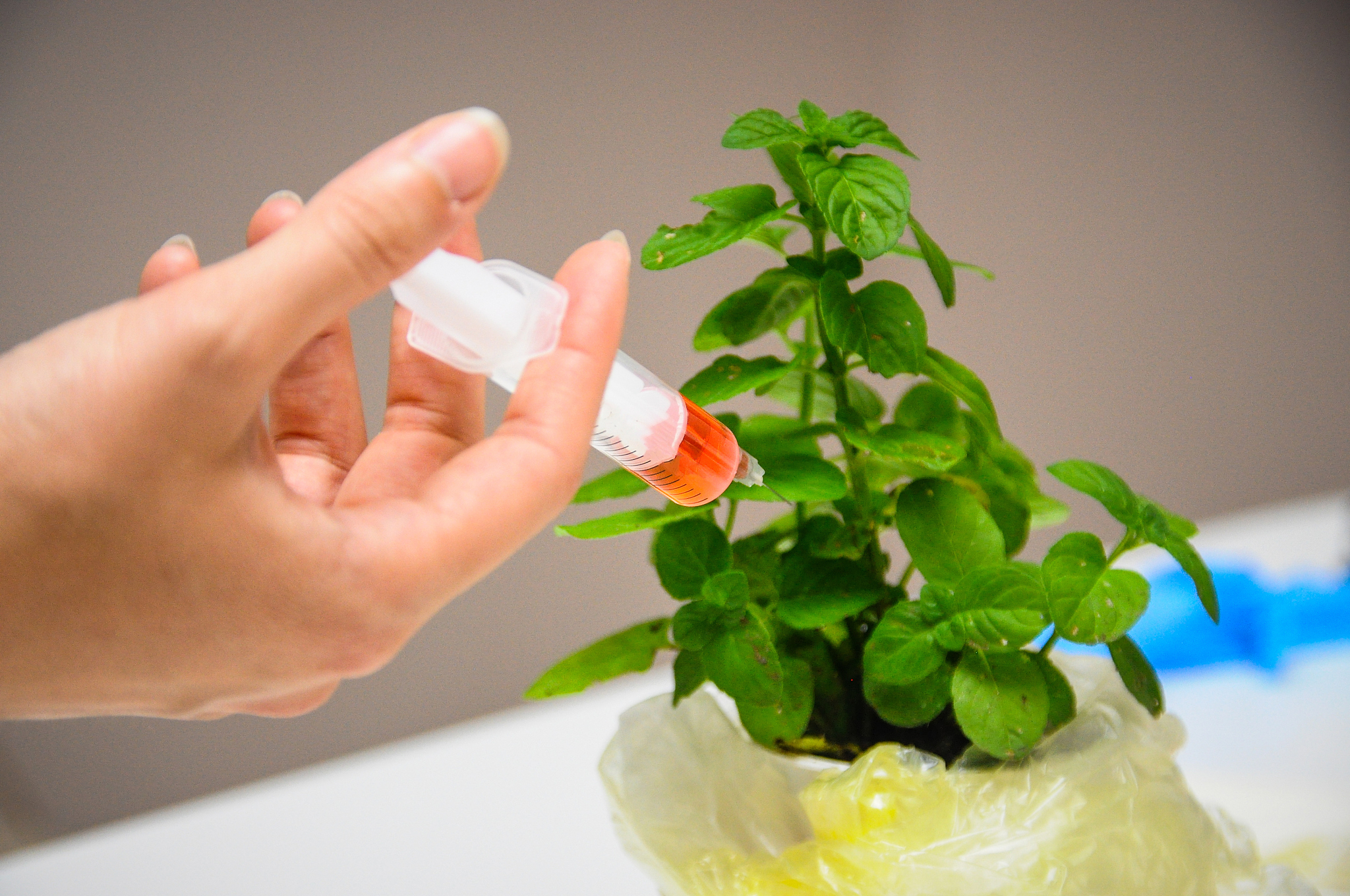 吉林轻工业学校招生简章