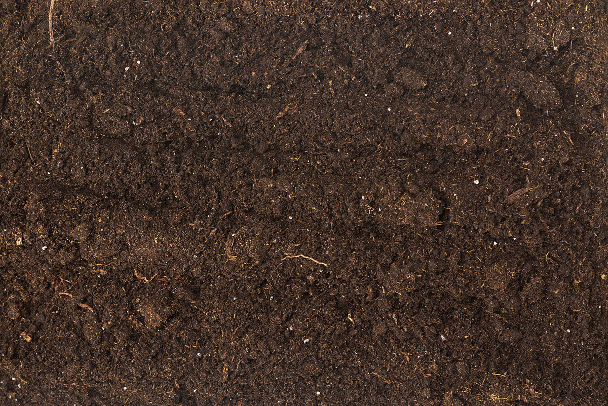 用不同的词语说后边这句话，土壤盐碱化会使土壤溶液的渗透压升高，而且盐碱化土壤中过量的交换性钠会导致土壤的理化性质变差，从而使得土壤内部结构成分发生变化