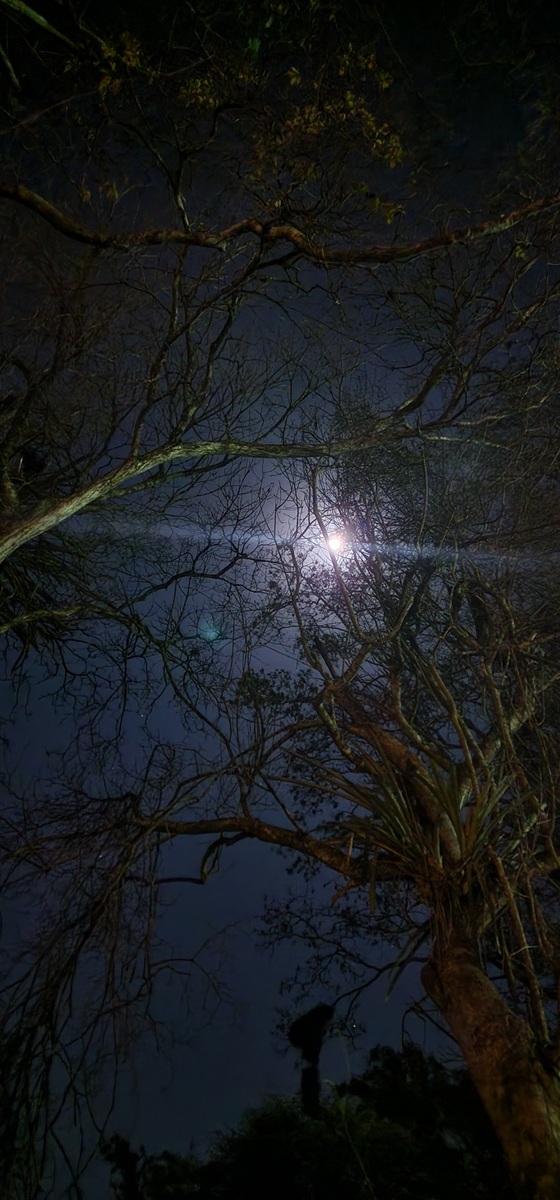 圆月山间照，荧光洒田野