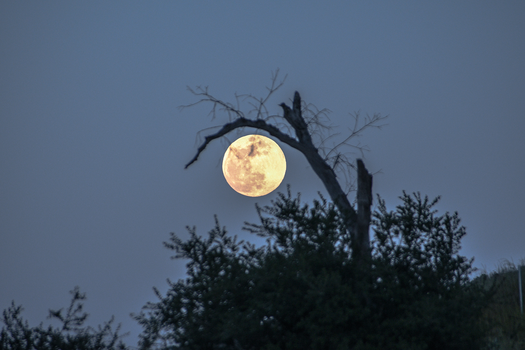 散文月色300字左右