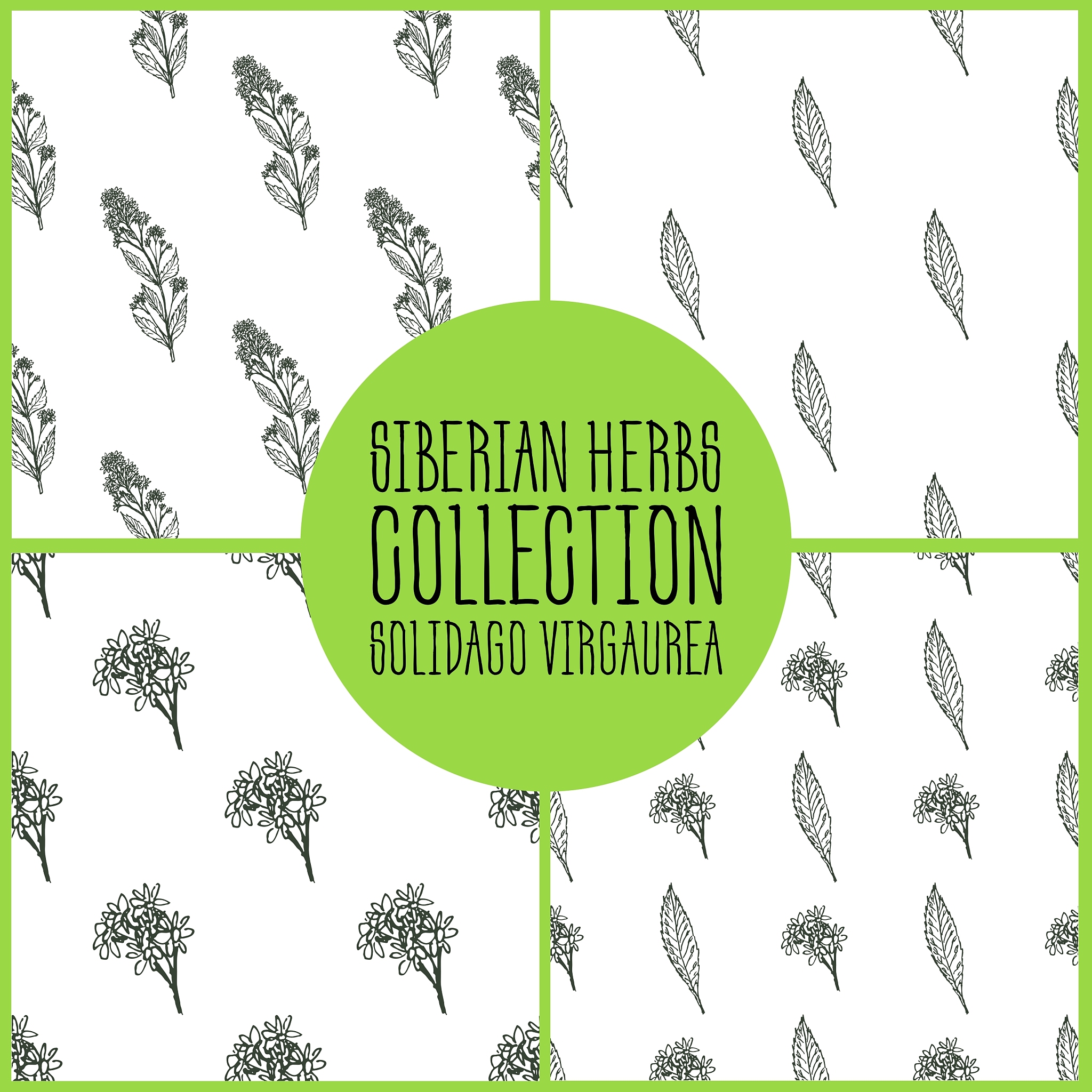 初中英语生态写作课堂观下自主学习模式构建策略