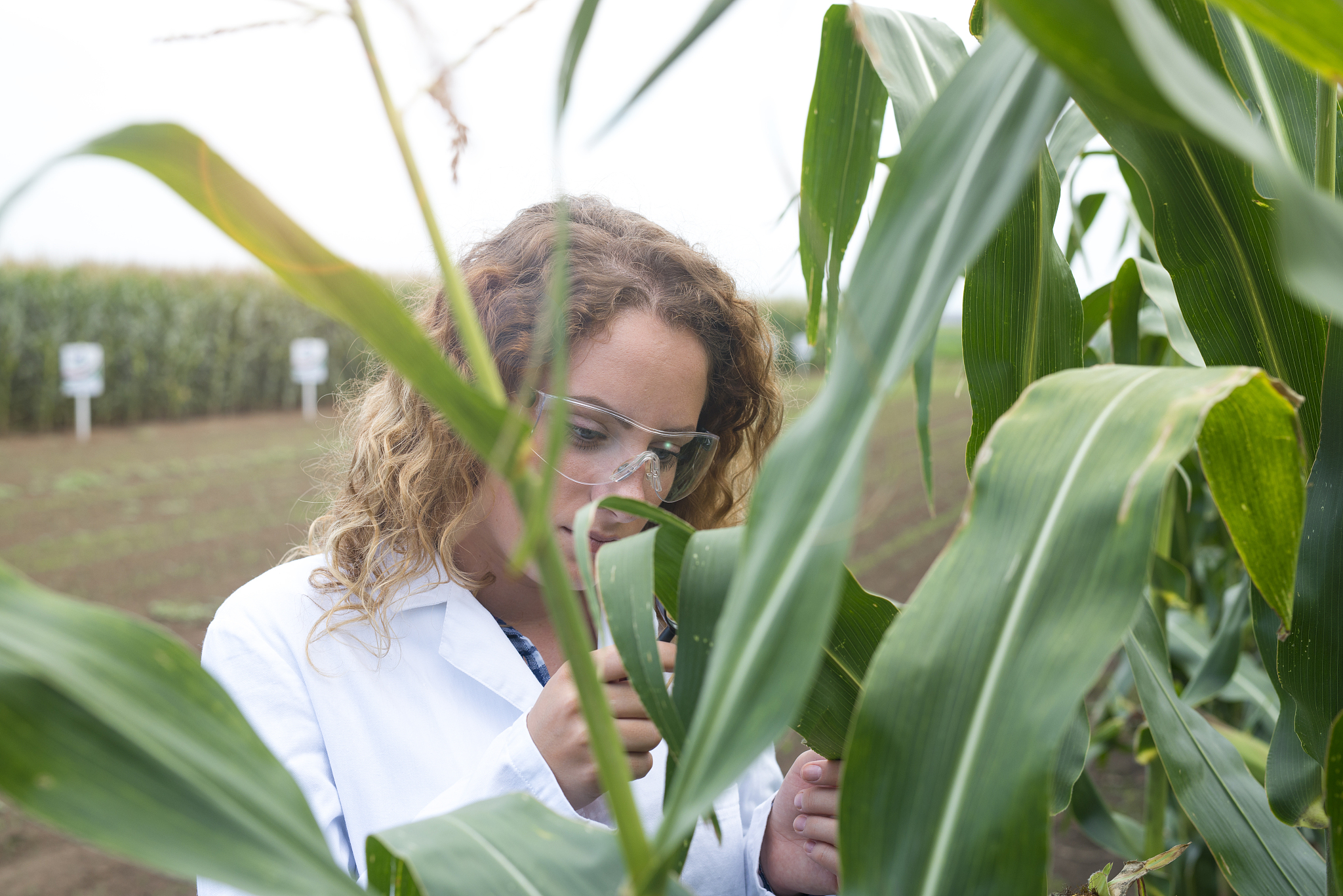 云南农业职业技术学校2019年五年一贯制大专重点专业