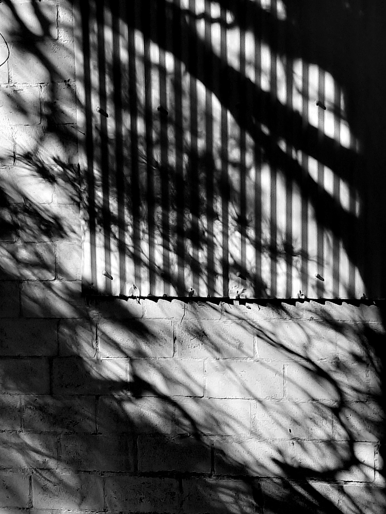 灰度图：定义、用途及应用