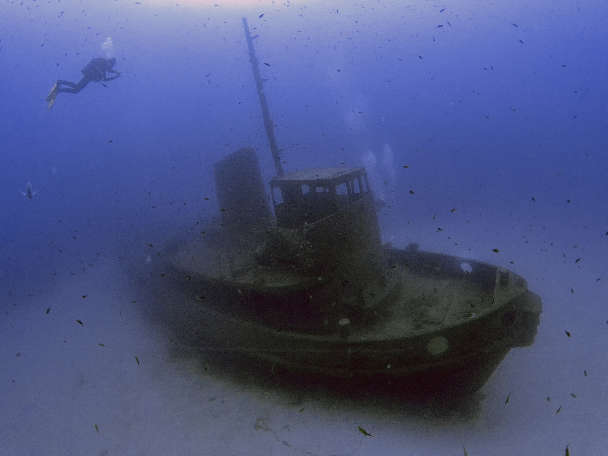 the wreck of the tugboat rozi in malta