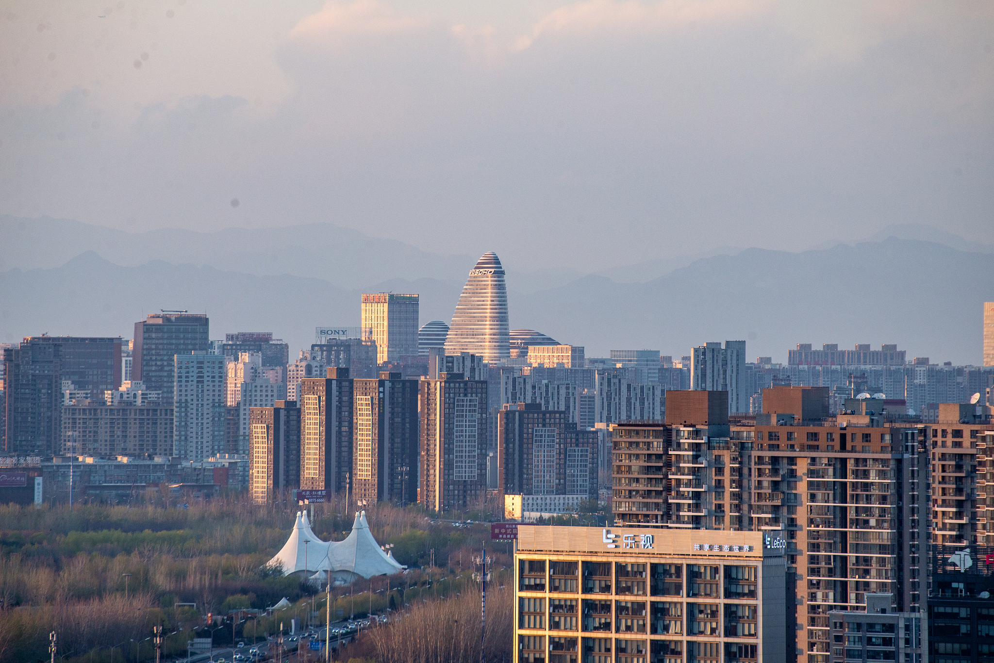 城市