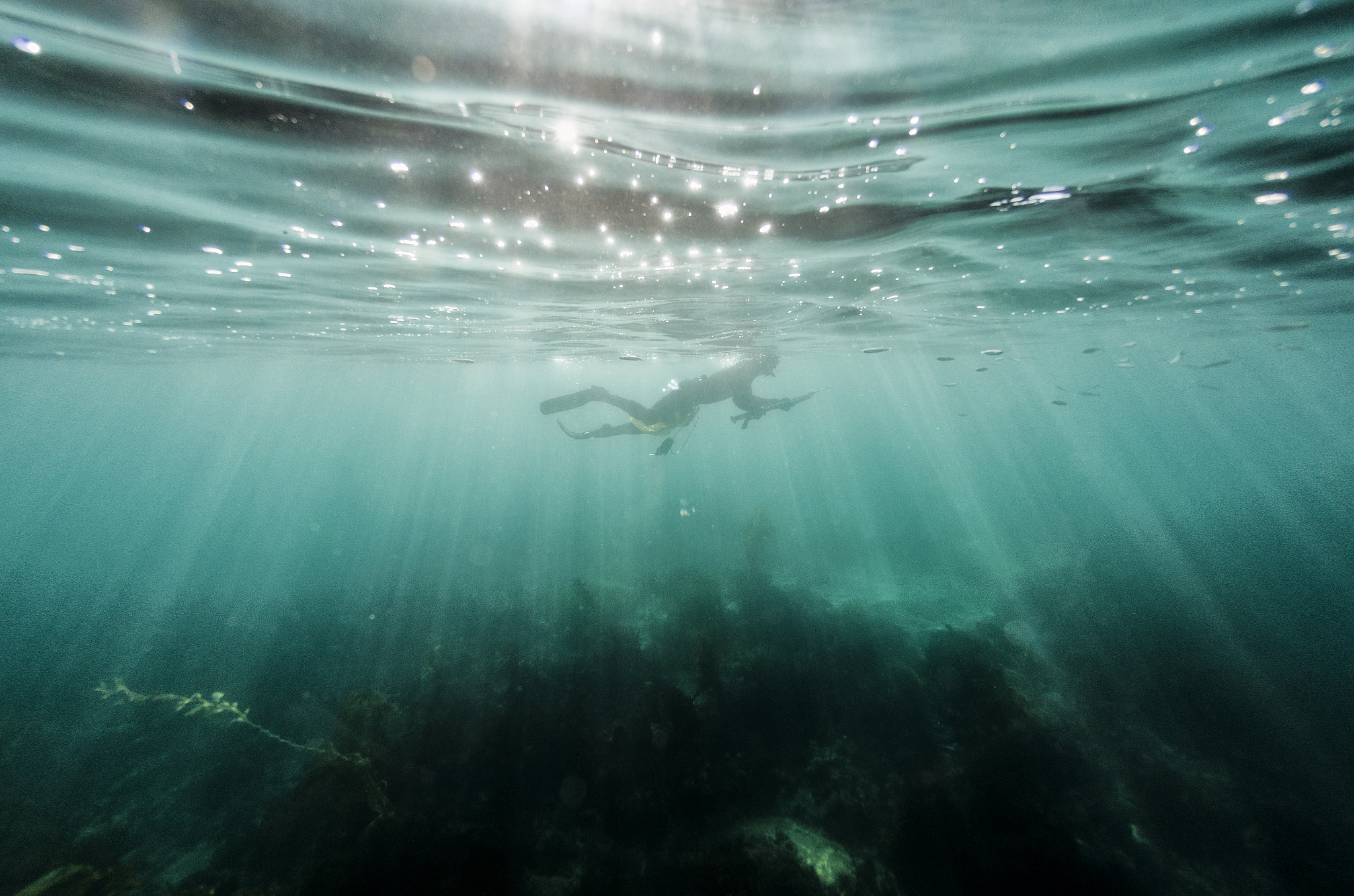 below the surface