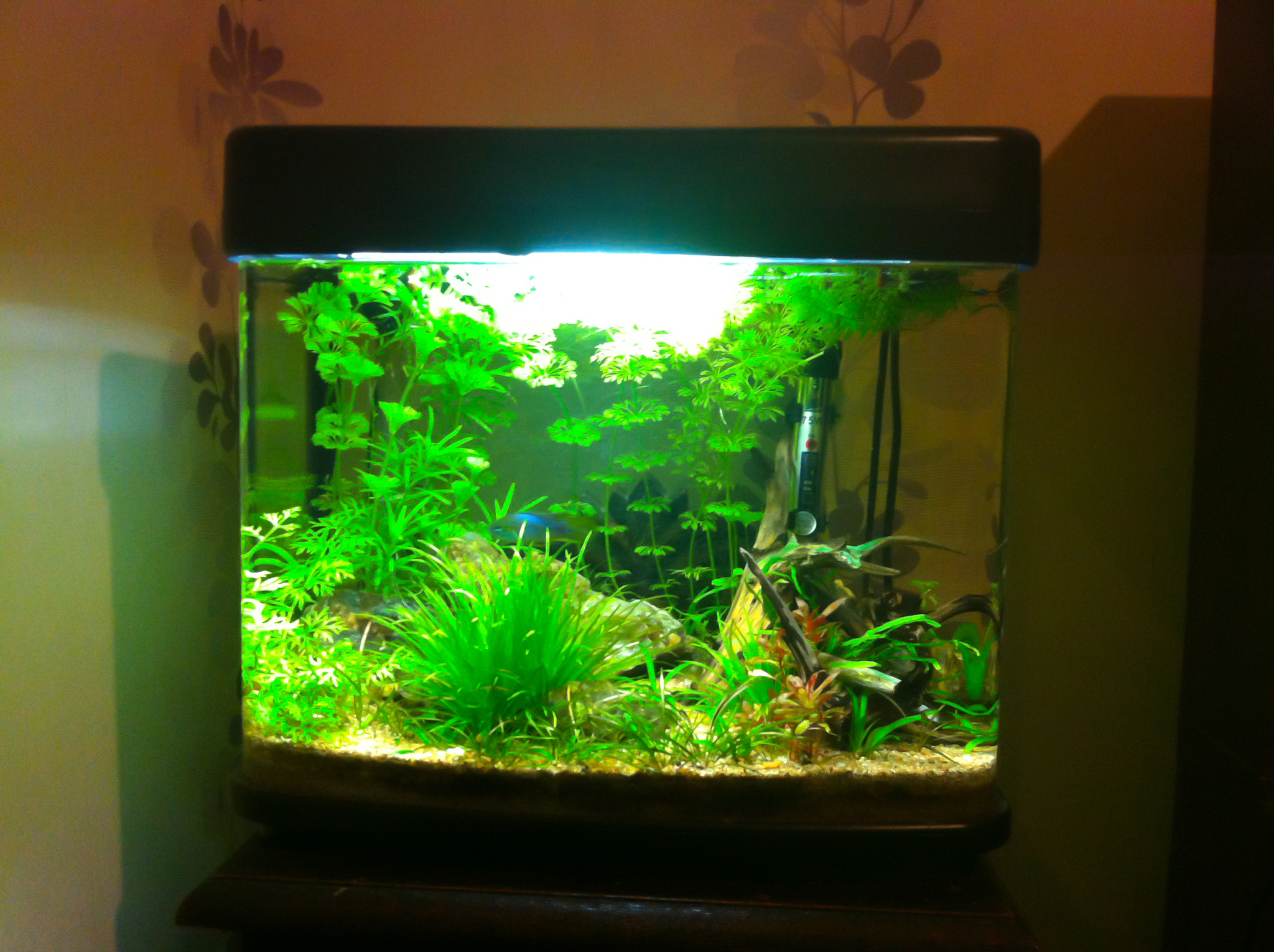 5立方米水能用多久