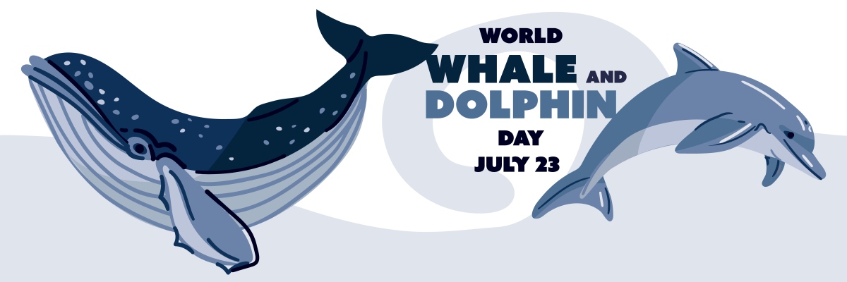 div id=jsi-flying-fish-container class=containerdiv script src=httpsblog-staticcnblogscomfileselkyofishjsscript style media only screen and max-width 767px #sidebar_search_box inputtype=textwidthc