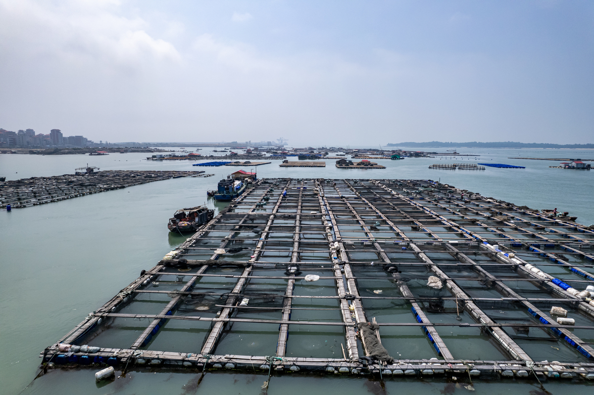 桁架式网箱：高效水产养殖利器