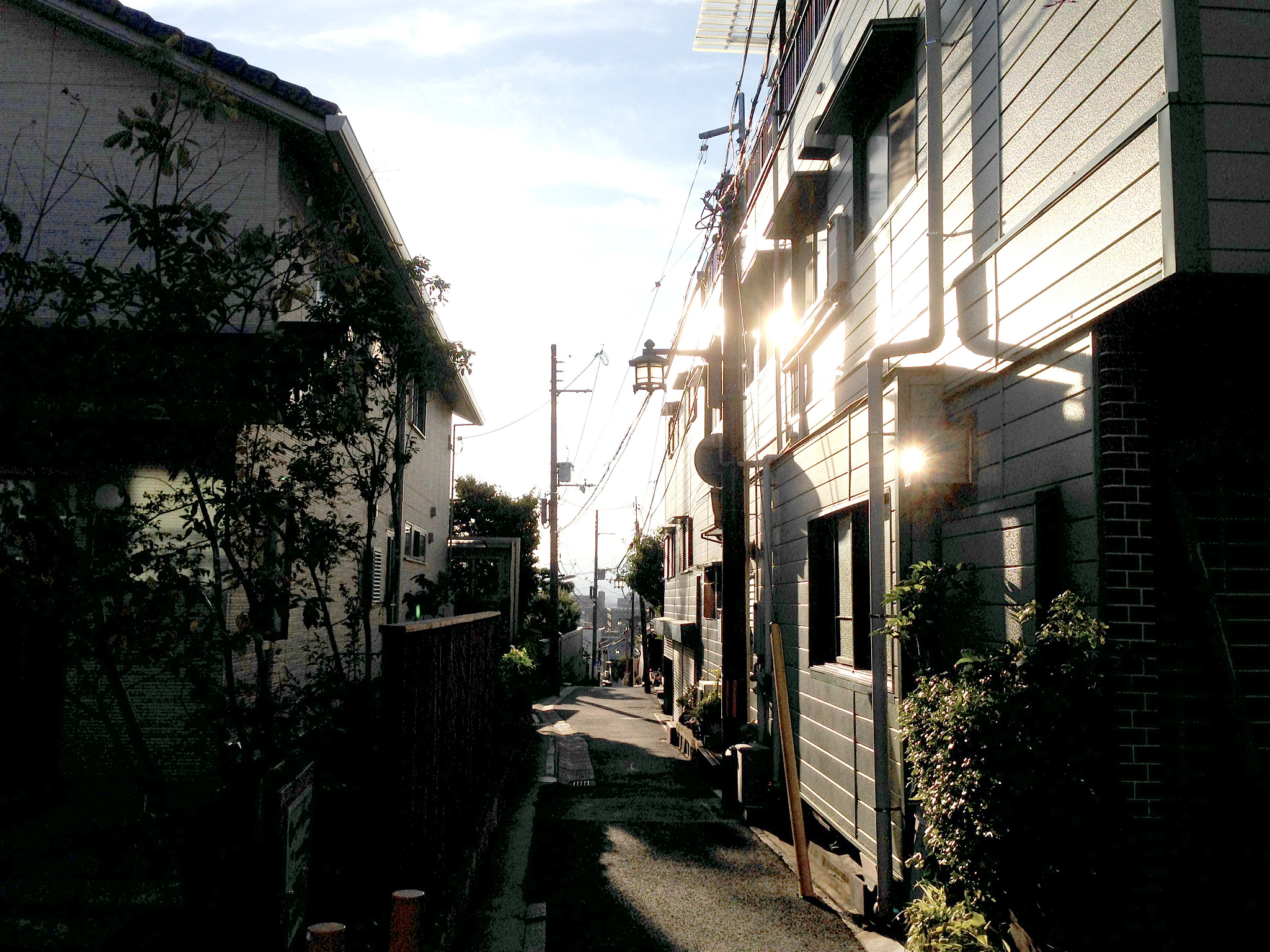 小城故事 '念其有情' 解释：怀念与珍视