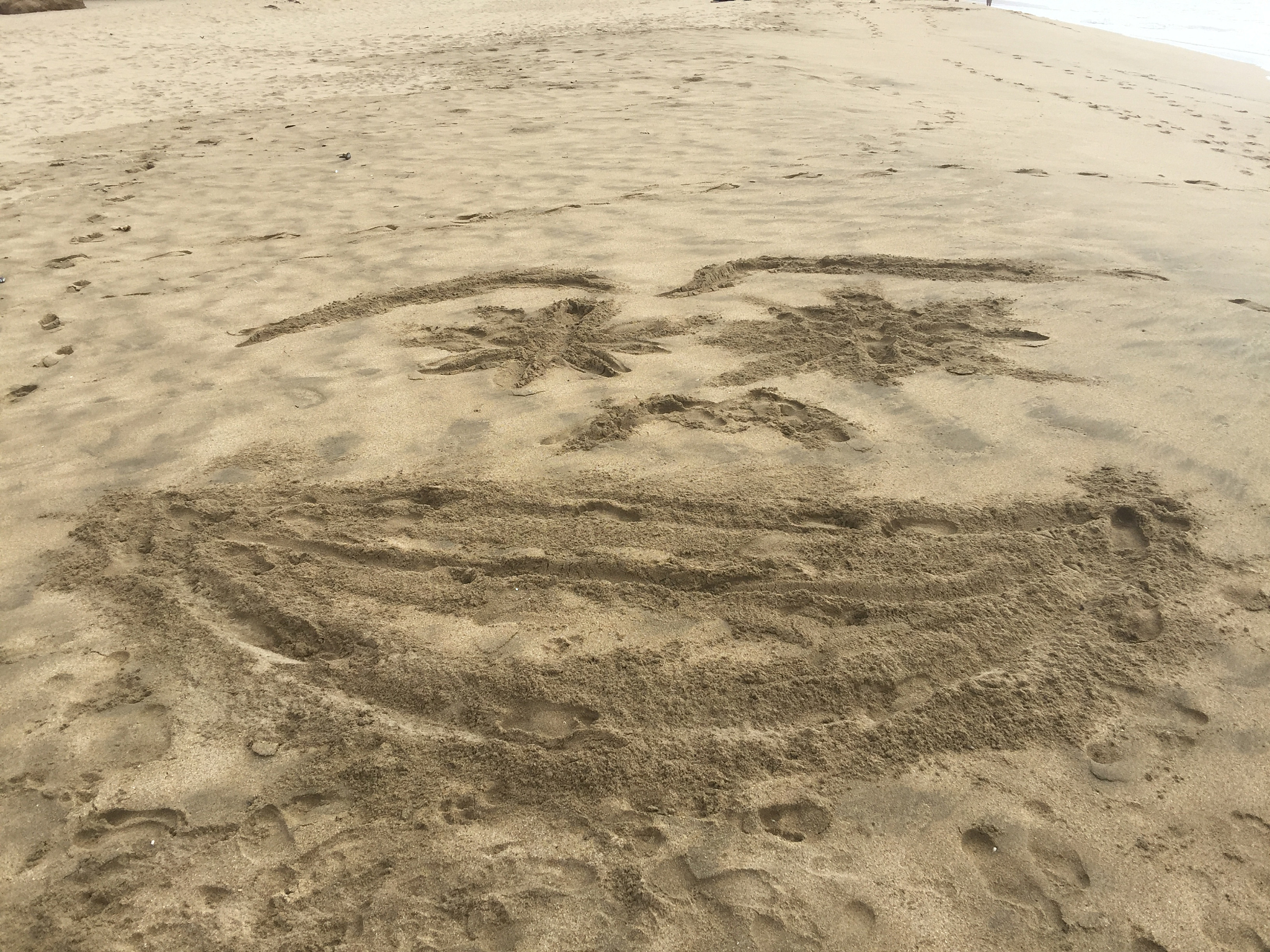 beach scenes
