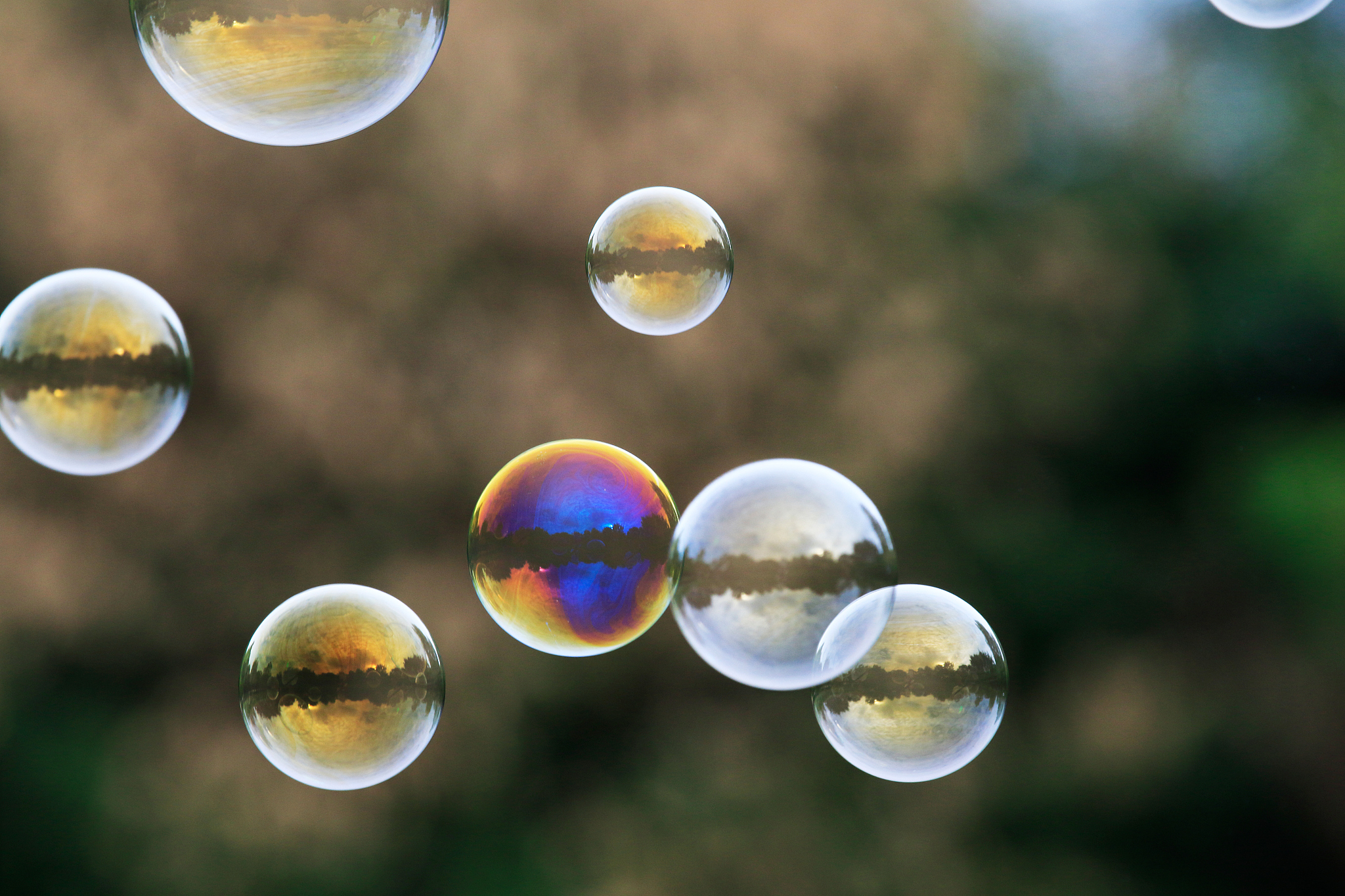 天气潮湿肥皂泡不容易破裂的原因，