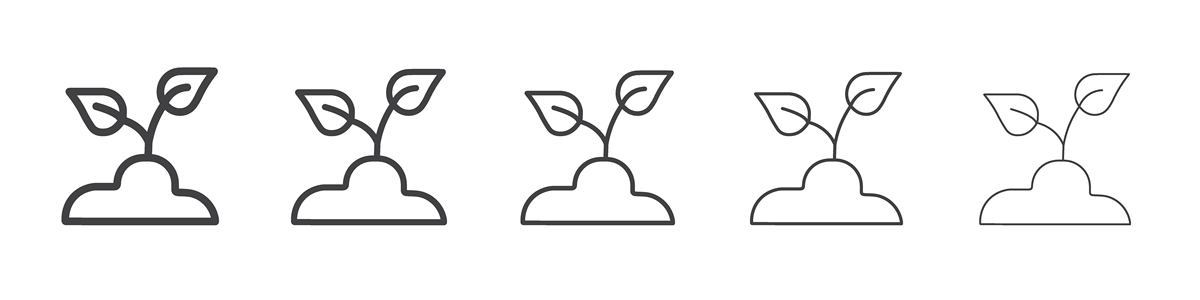 Geoderma Regional期刊：土壤科学研究领域领先期刊