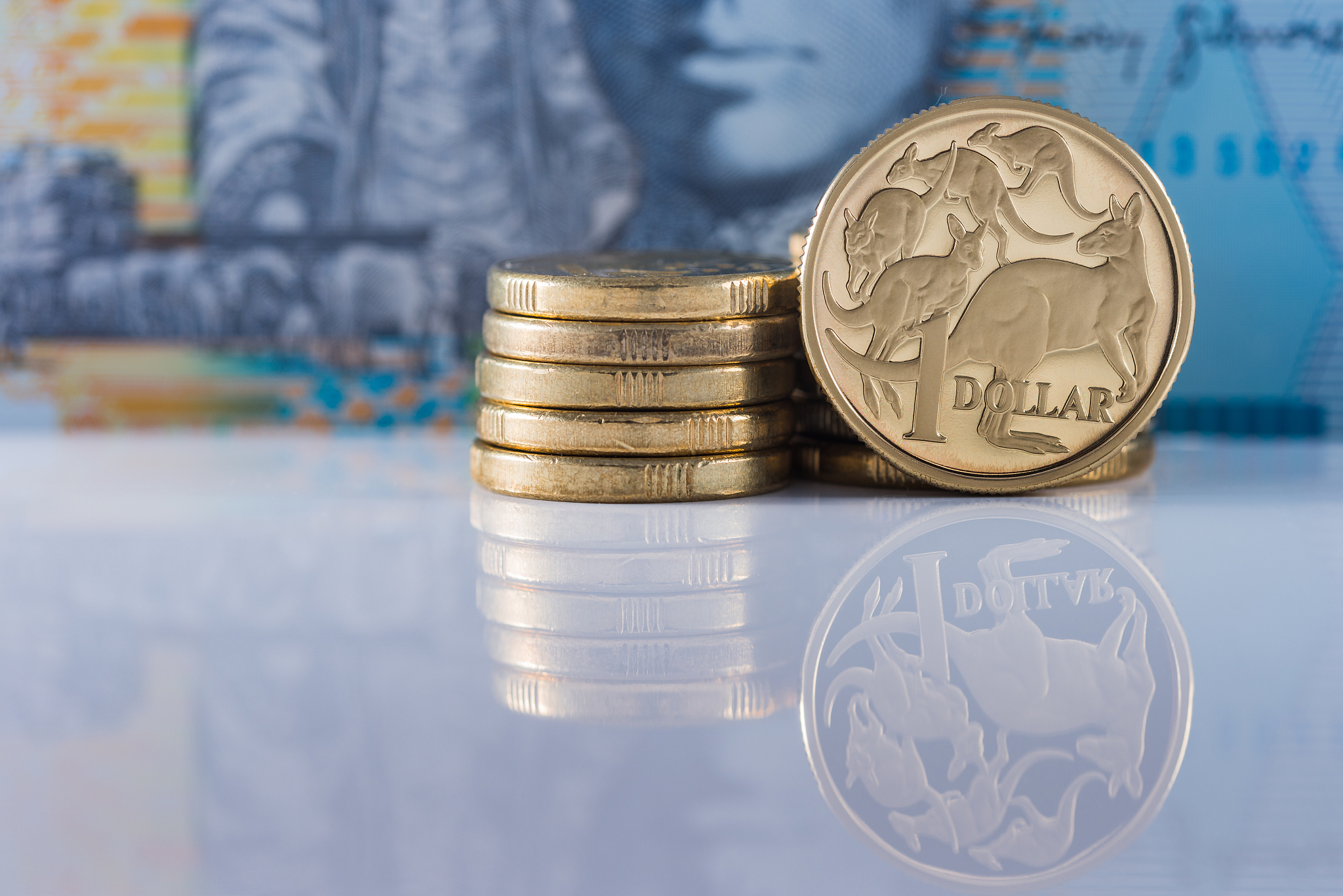 one dollar coin