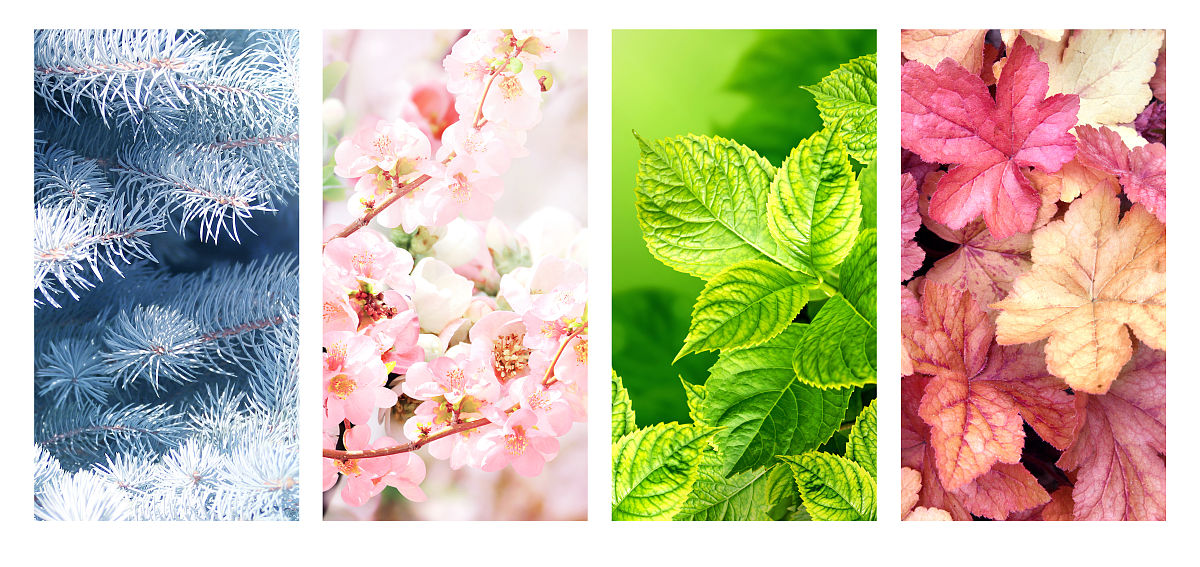 关于四季景色的现代诗