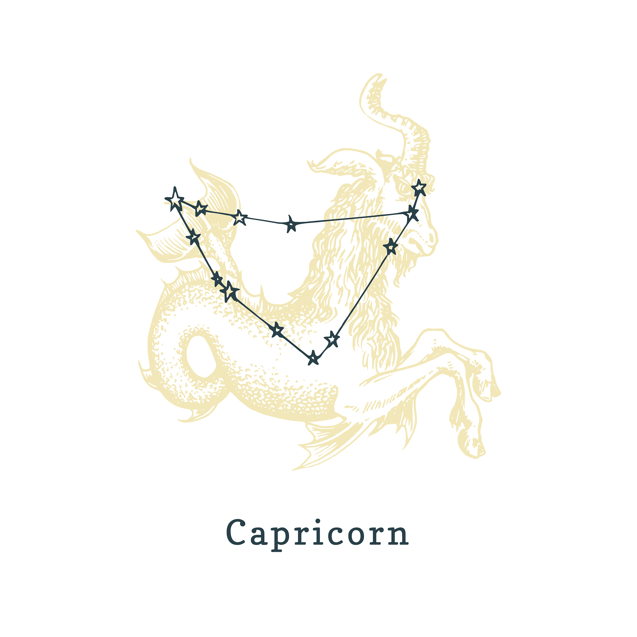 摩羯座男生攻略秘籍：如何赢得他的心？