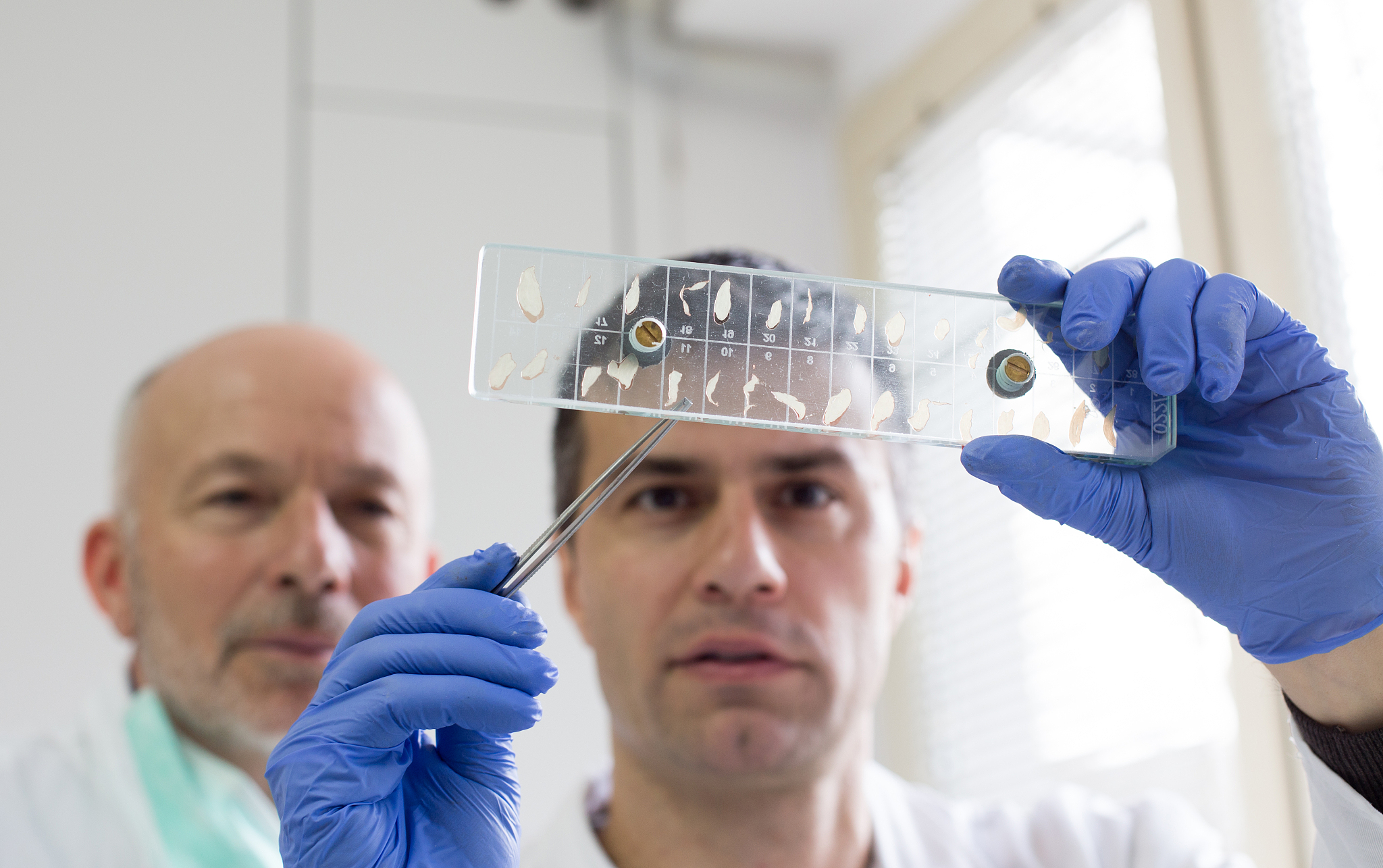 抚顺师范高等专科学校有药剂专业吗