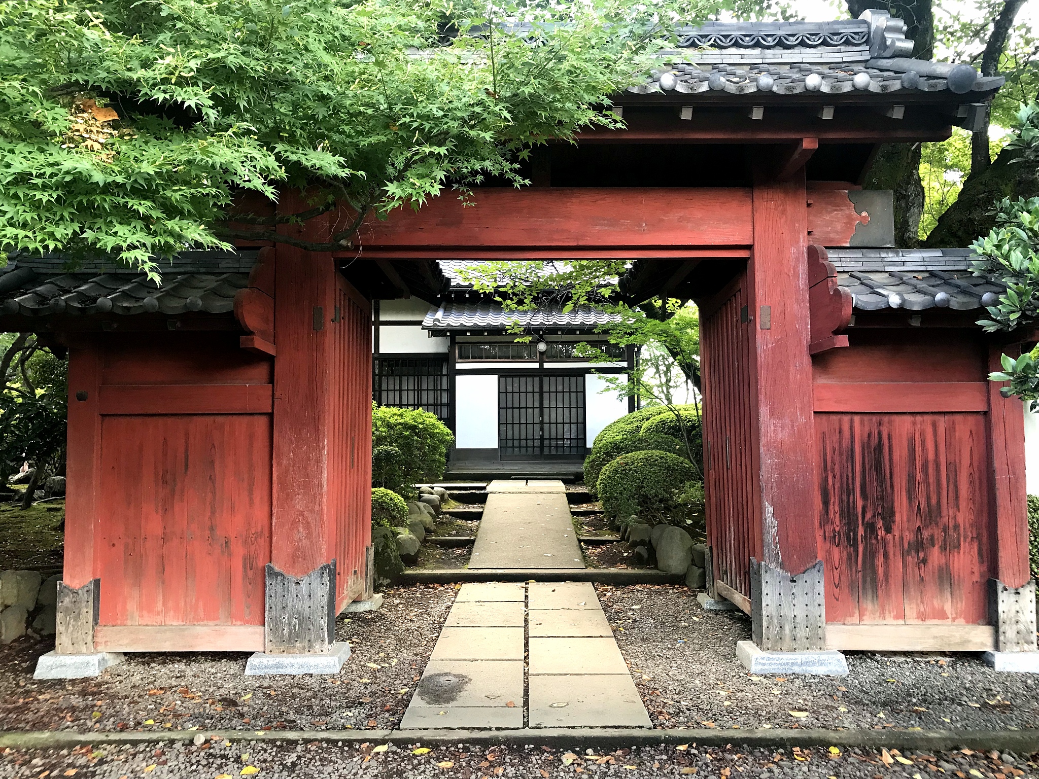 哈尔滨理工大学的日语专业就业前景怎么样