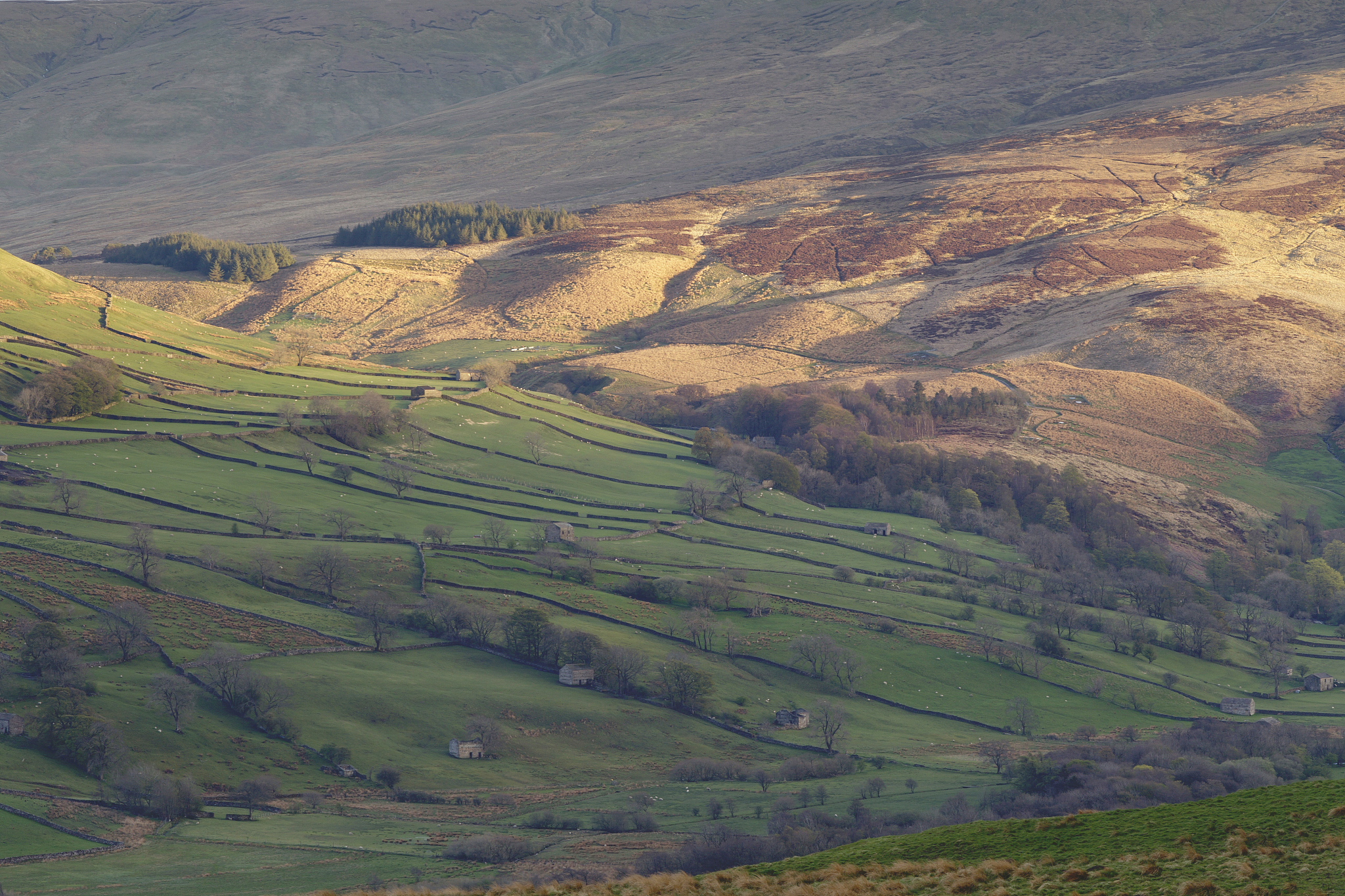 the rolling hills and landscape of the yorkshire dales national 