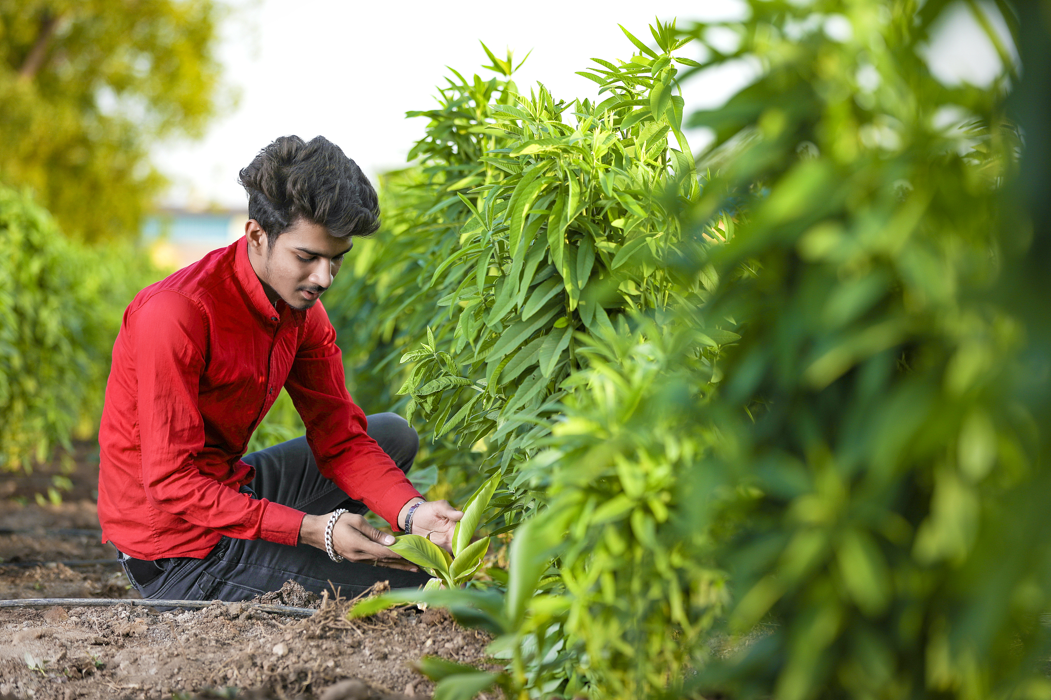 临夏农业学校是本科还是专科？- 了解临夏农业学校办学层次