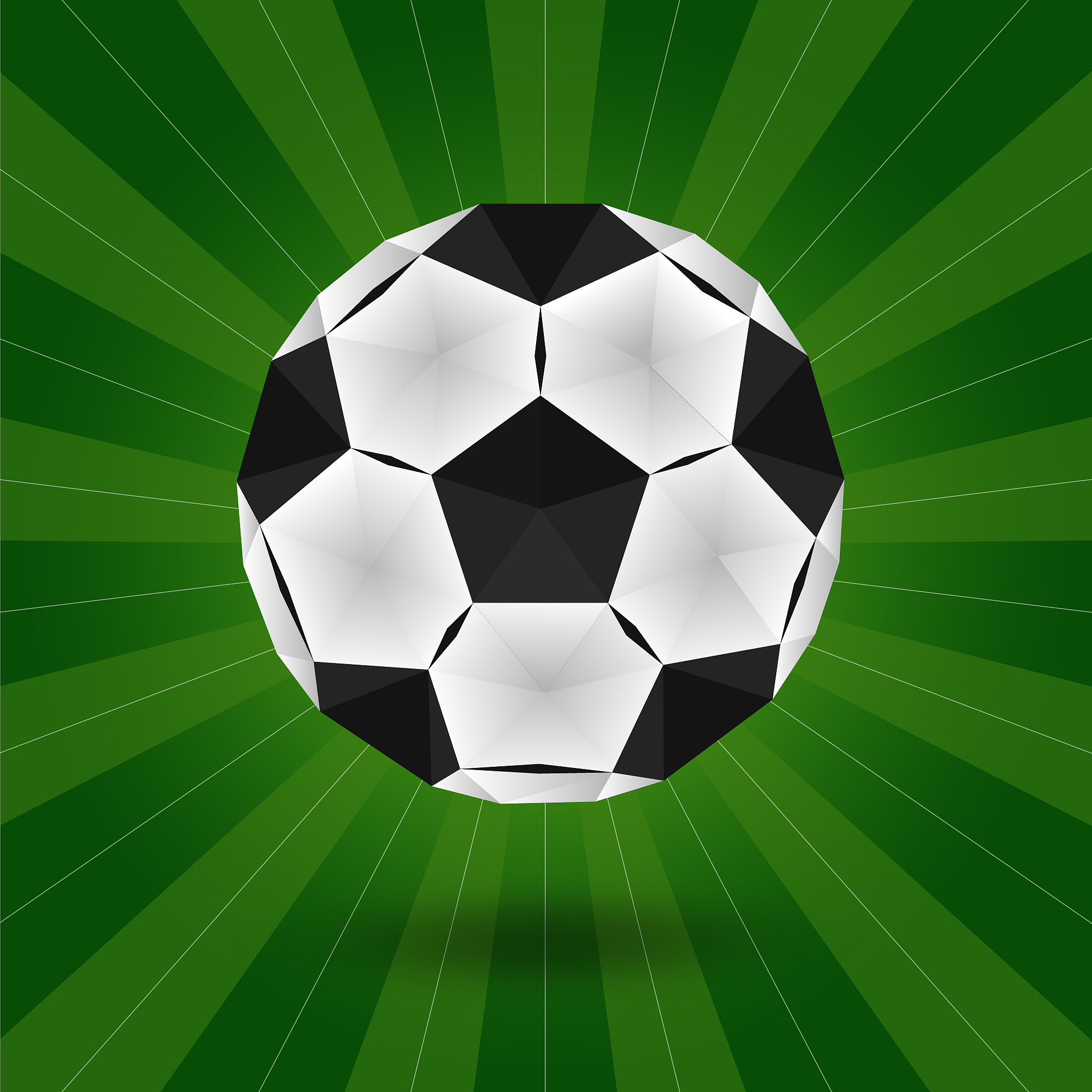 a soccer ball