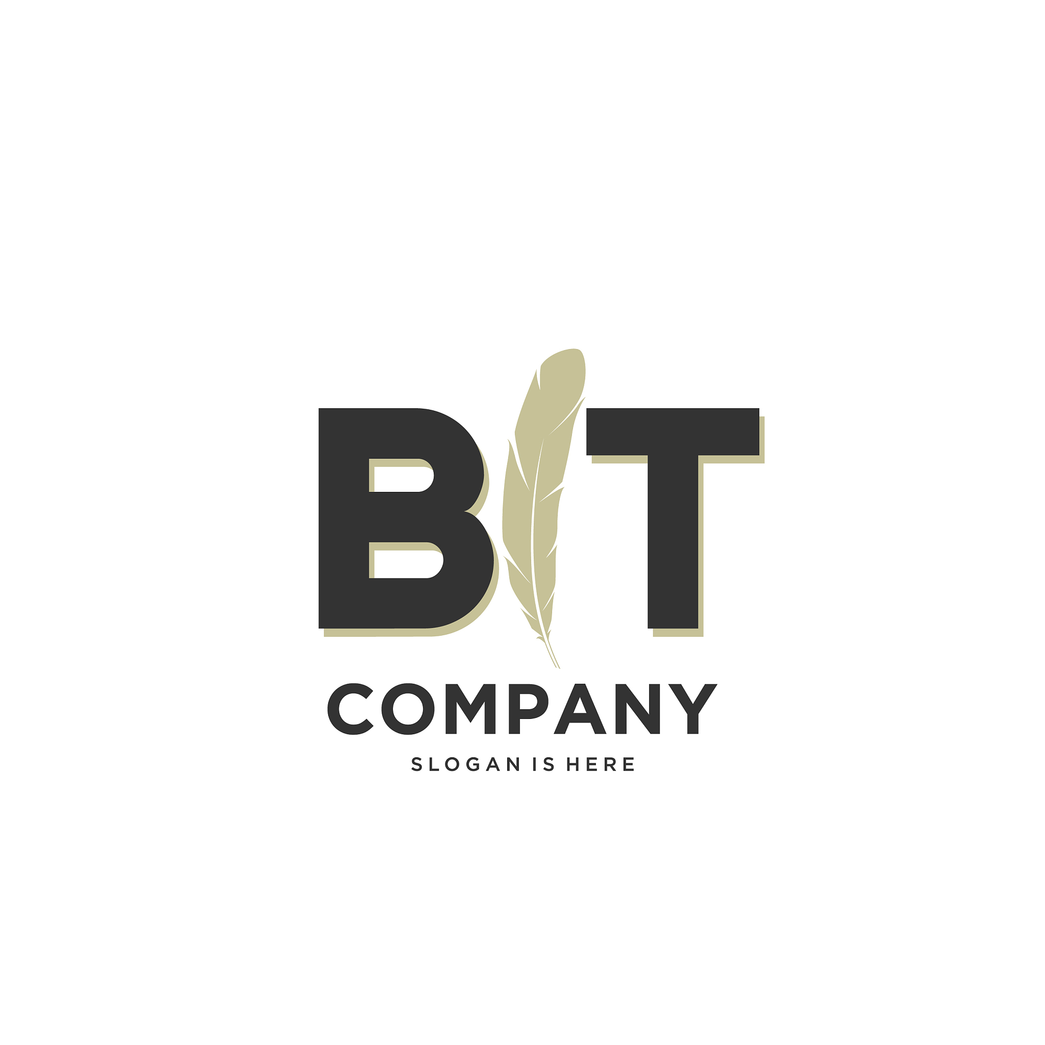 initial bt letter unique attractive creative